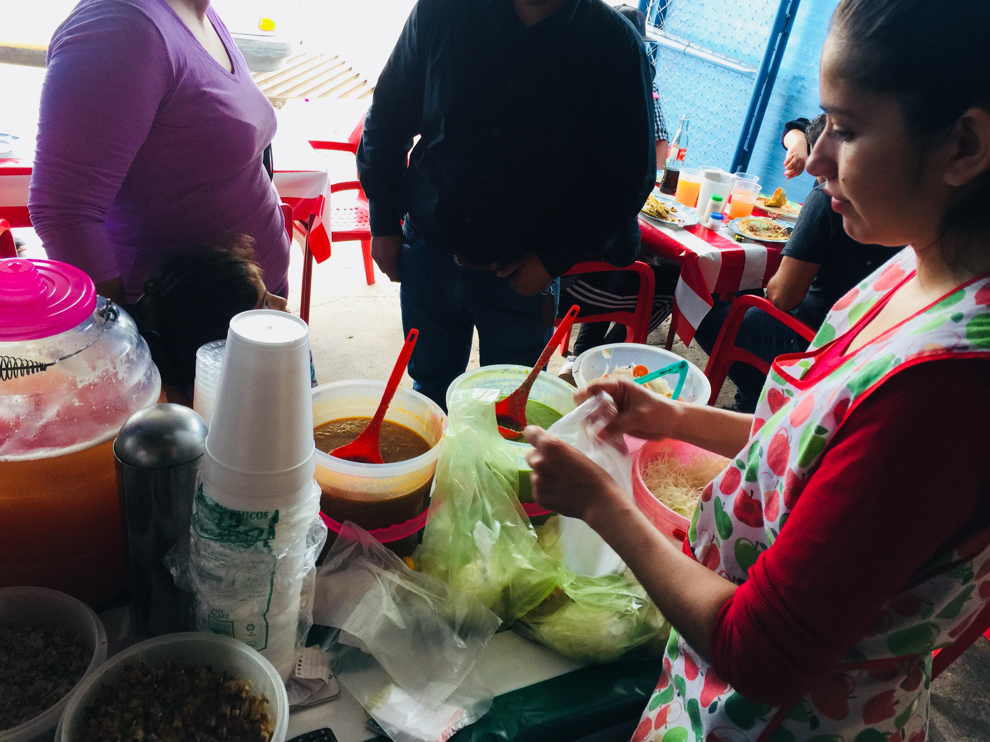 QUESADILLAS ESTILO MEXICO doña luisa image 10