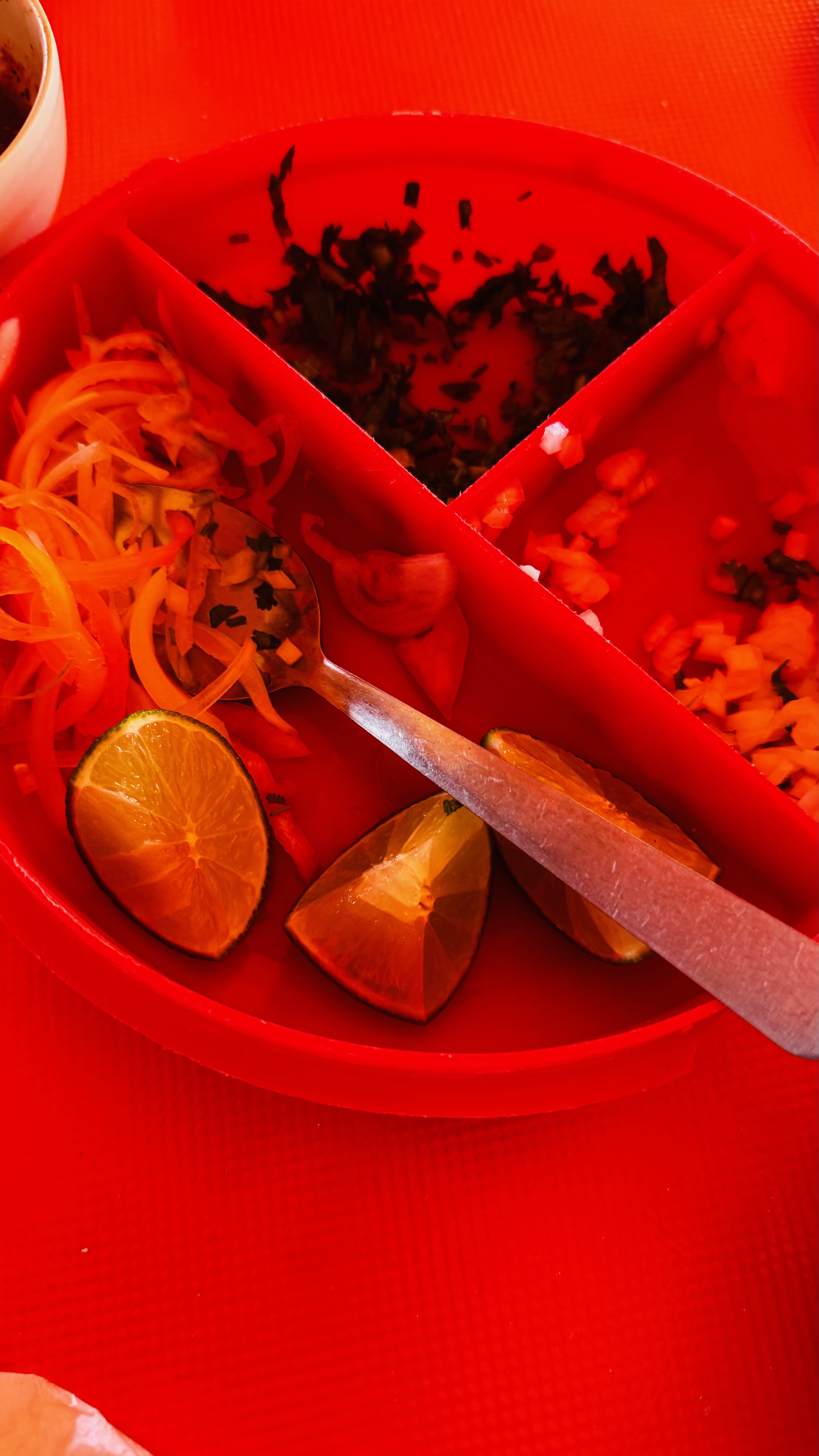 EXPENDIO DE BARBACOA “IRVING” image 9