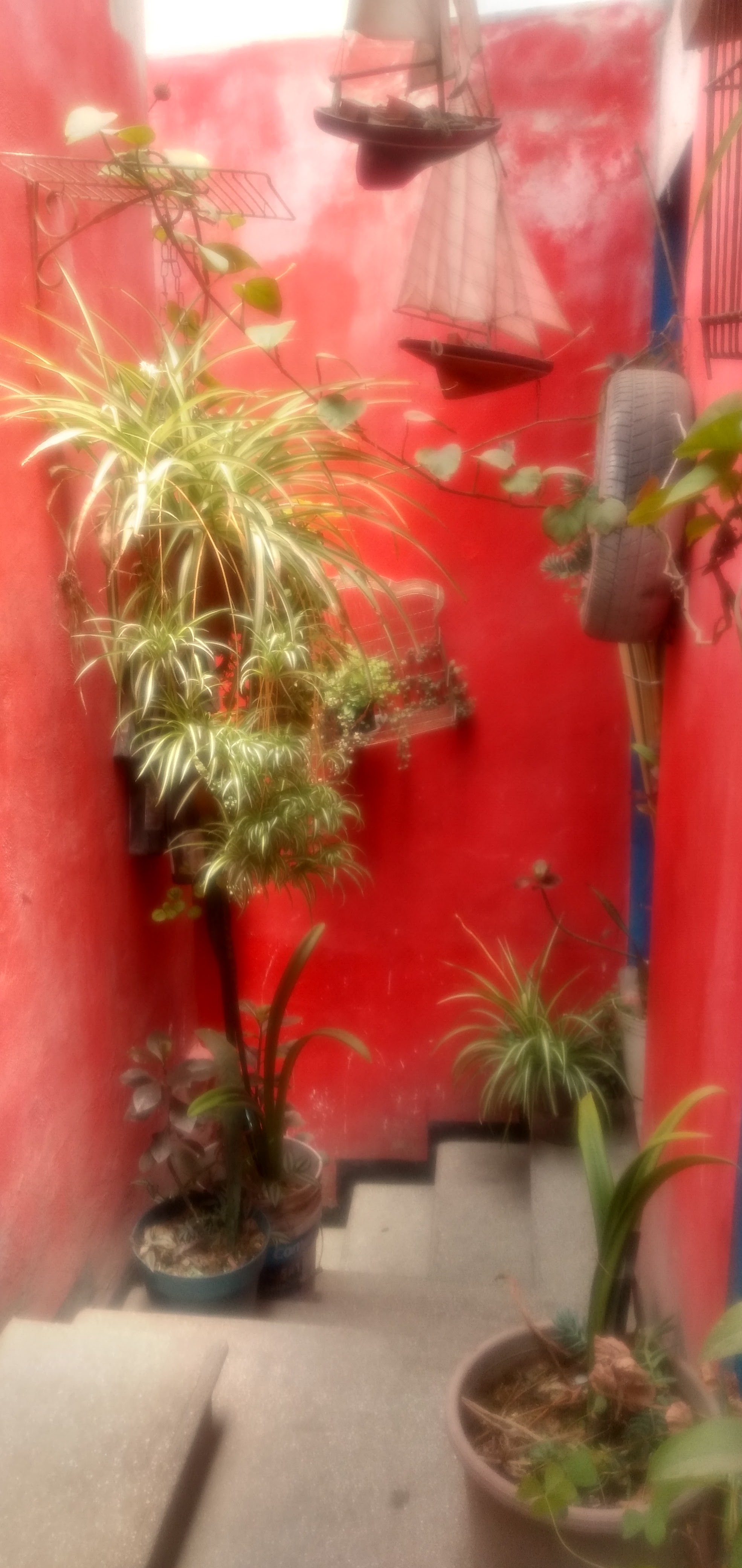 La Terraza Marisquería image 8