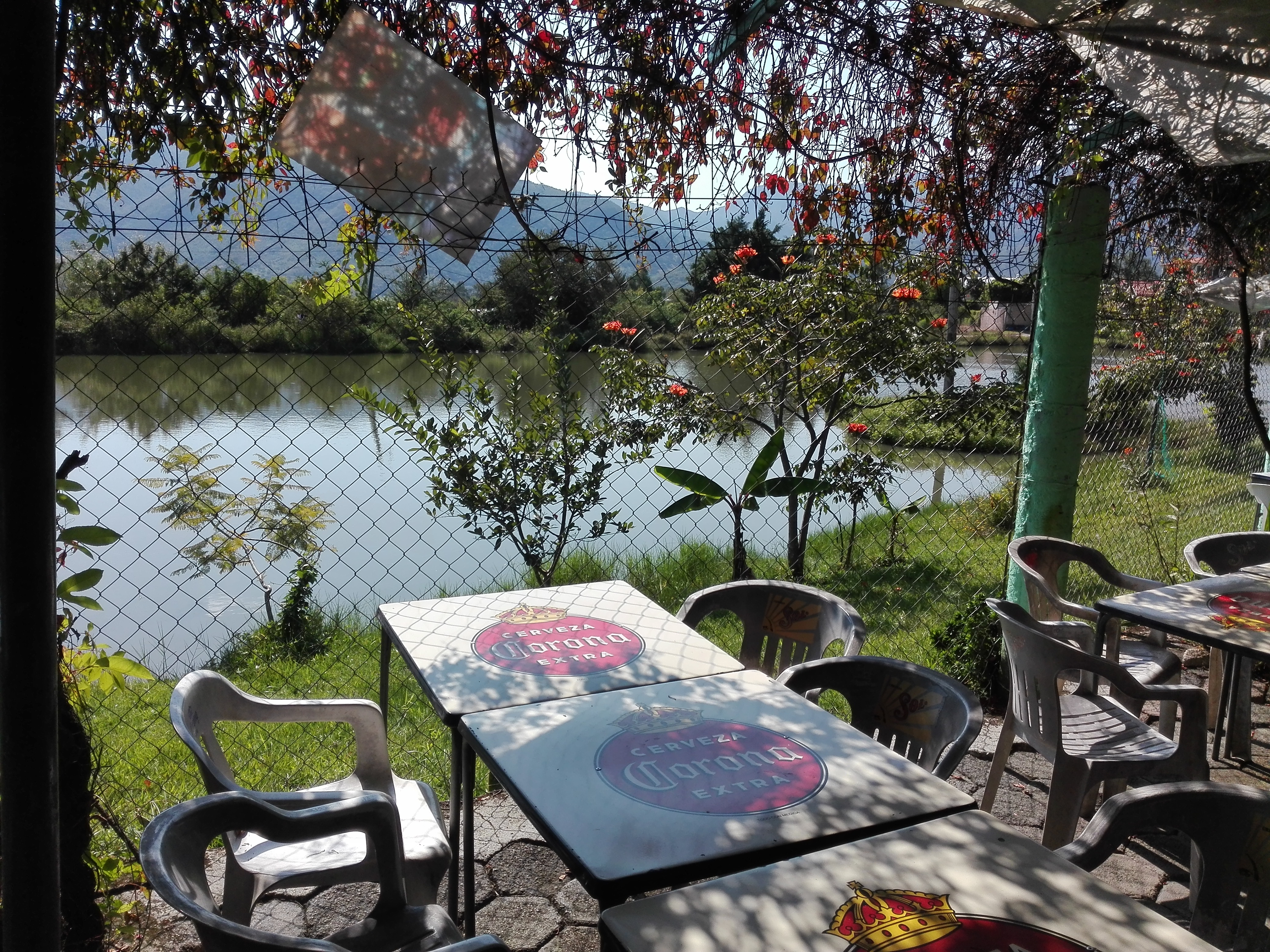 Las Gardenias. image 1