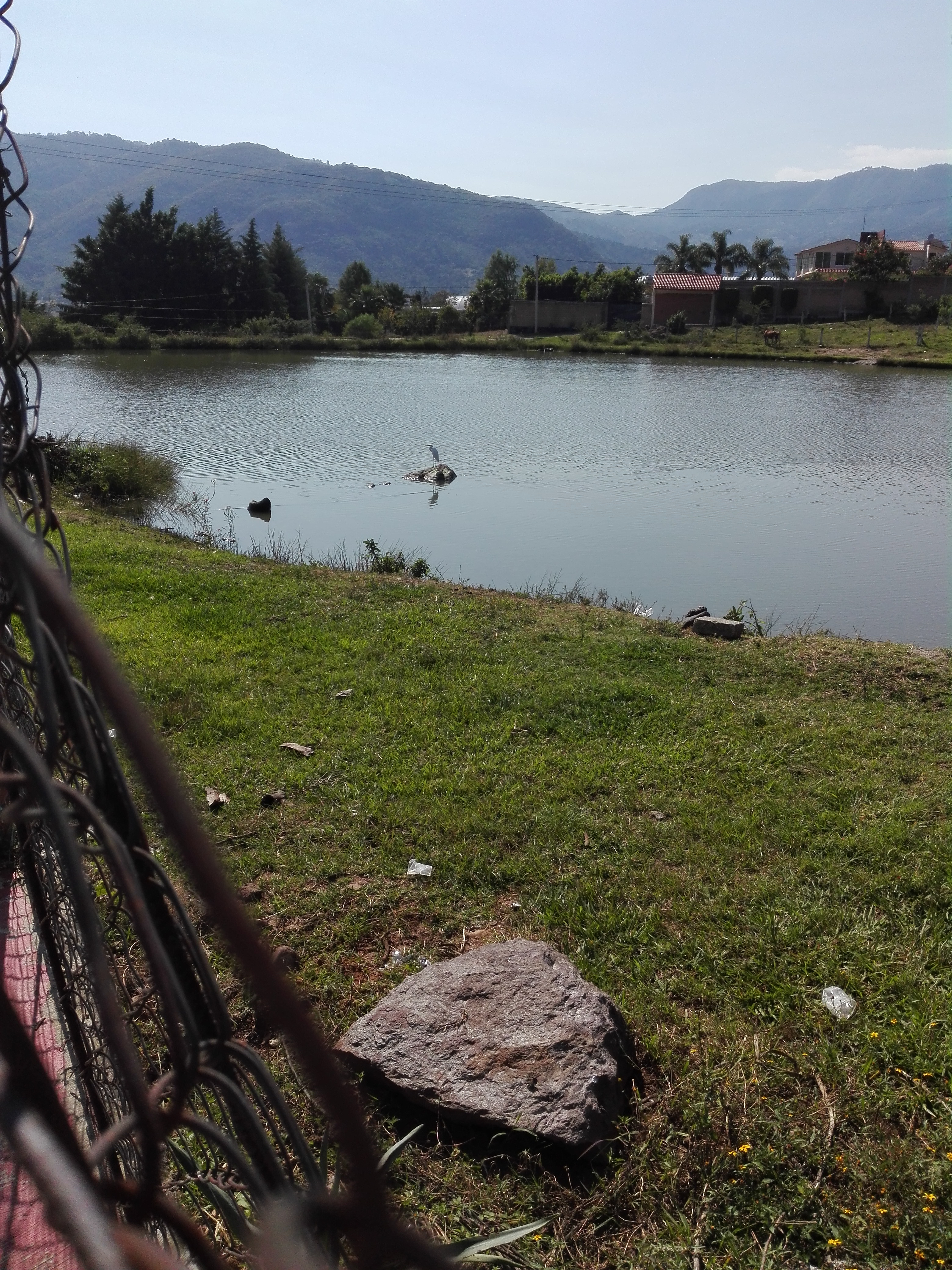 Las Gardenias. image 6