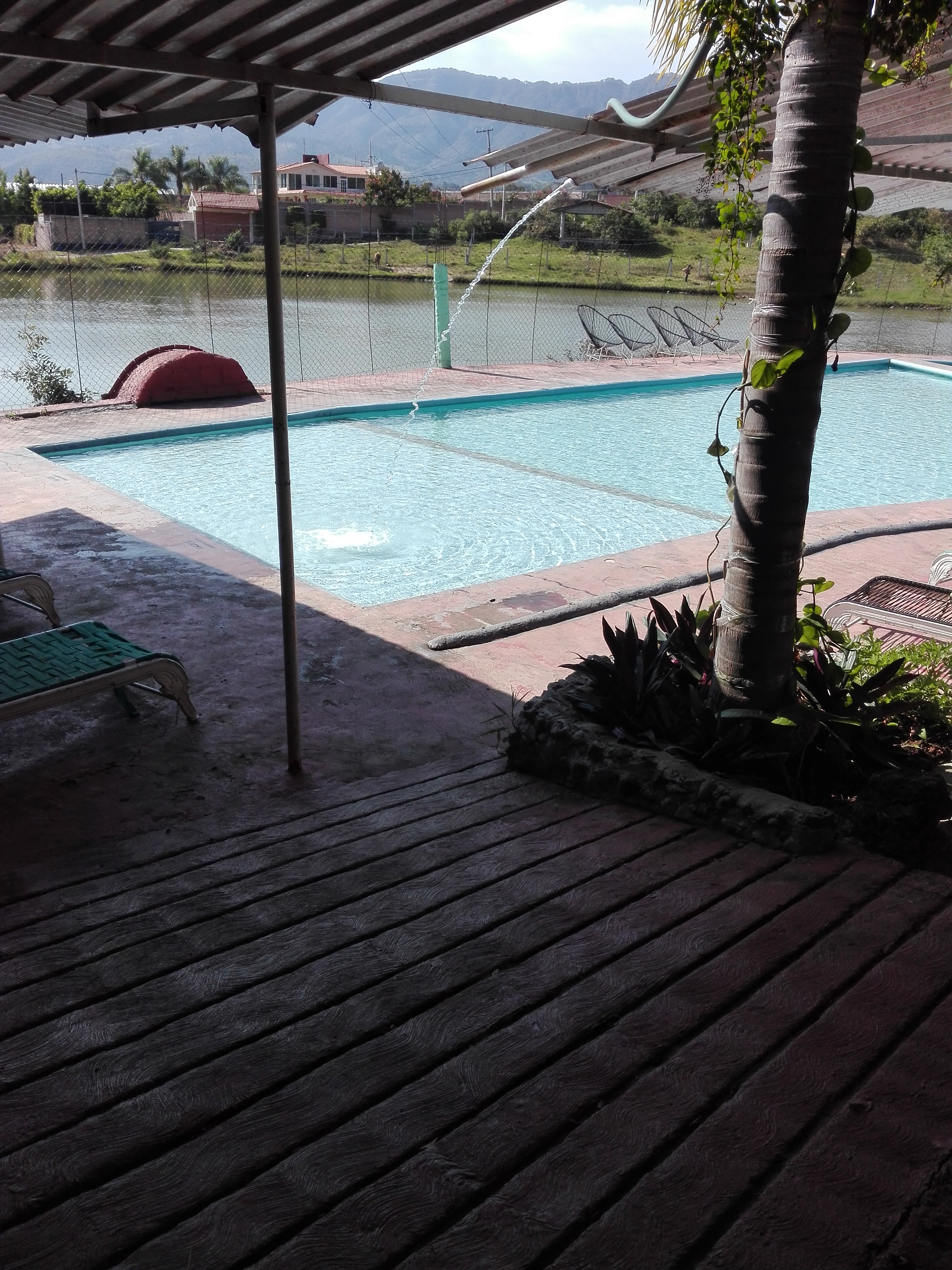 Las Gardenias. image 7