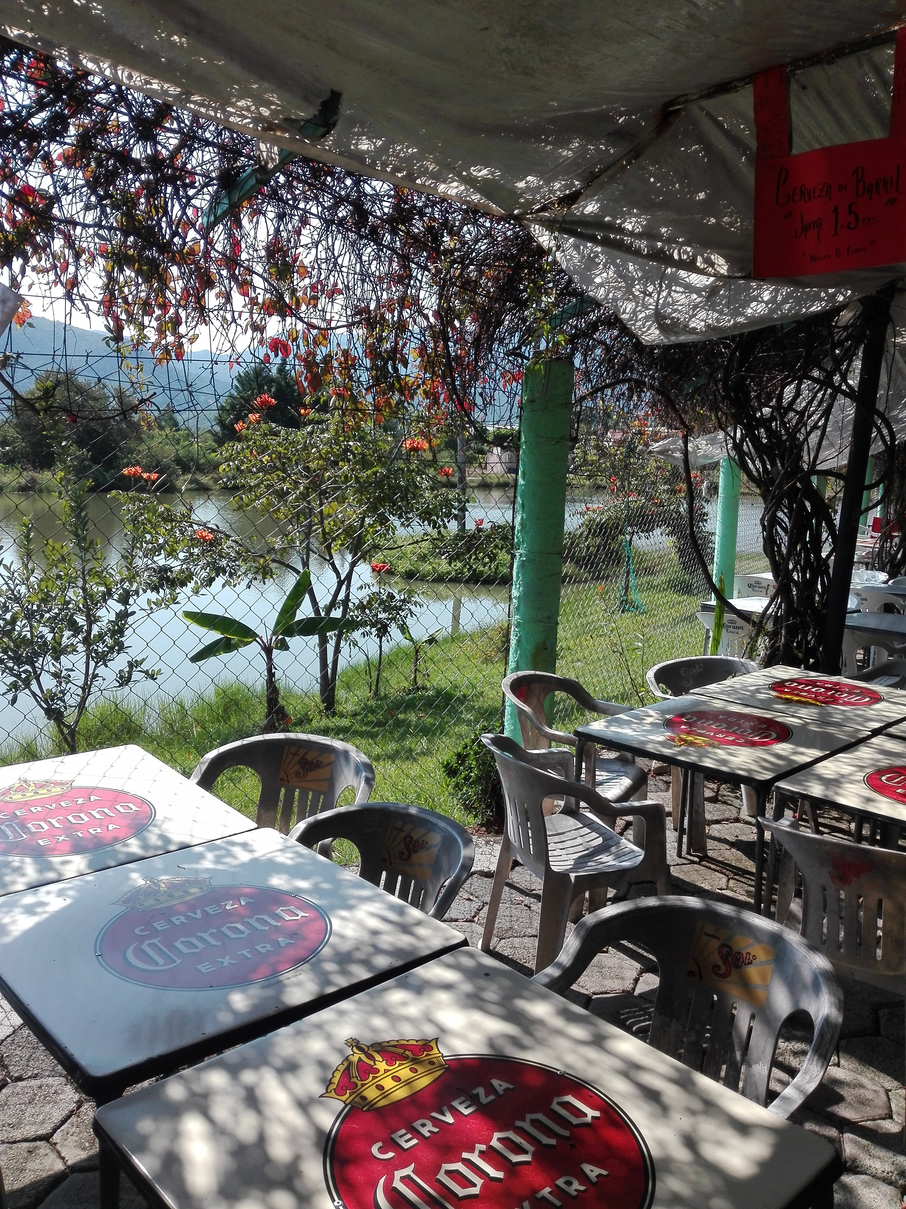 Las Gardenias. image 10