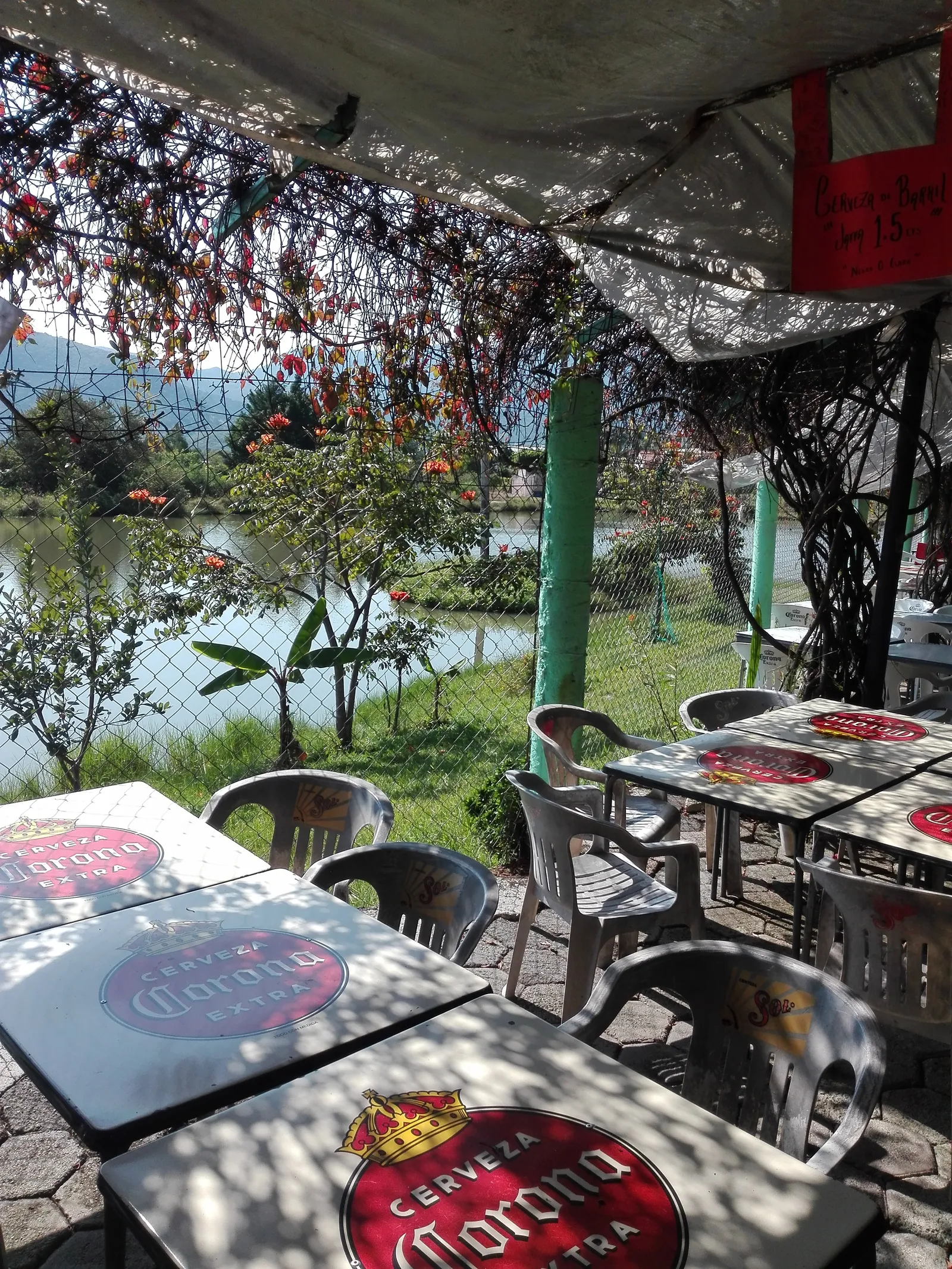 Las Gardenias. image 10