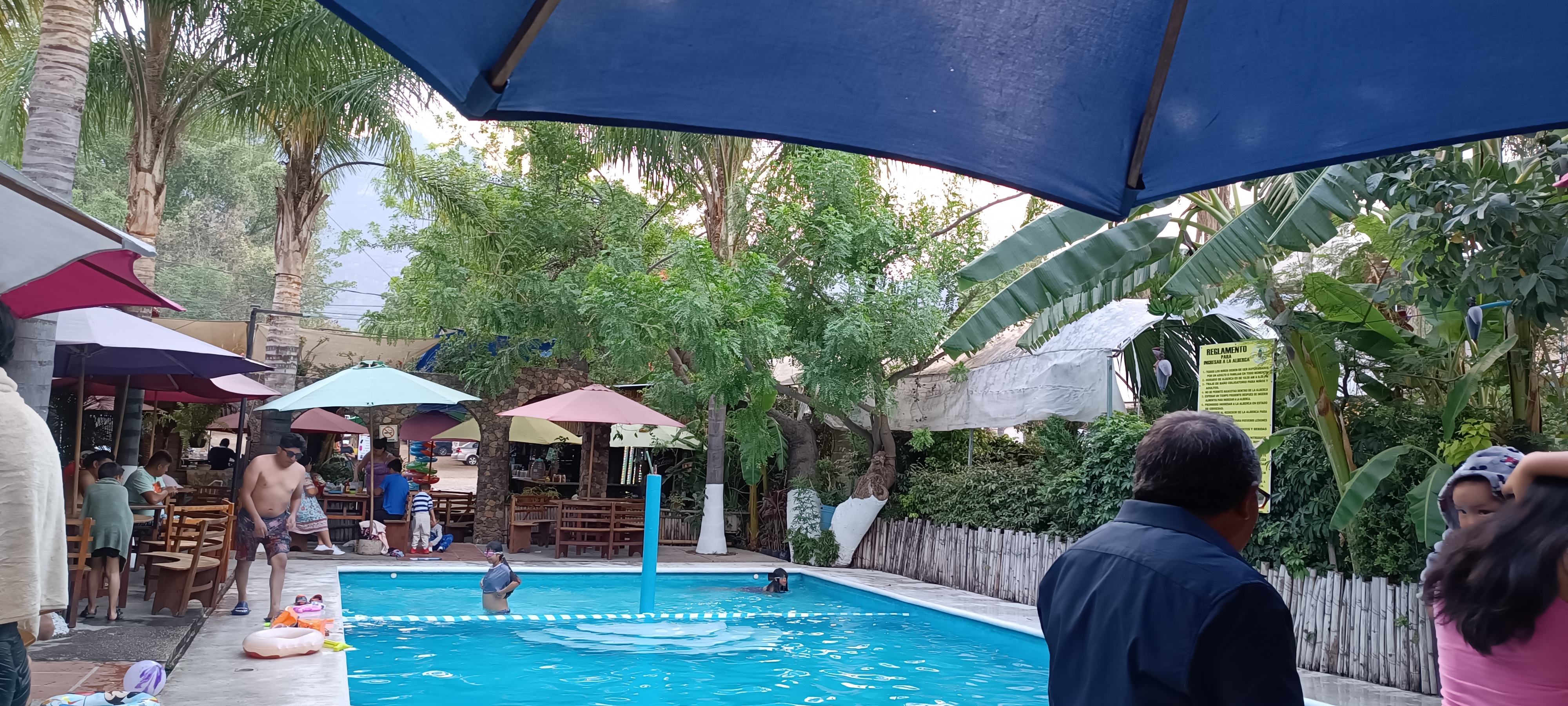 El Escarabajo image 3