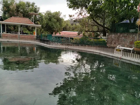 El Escarabajo image 5