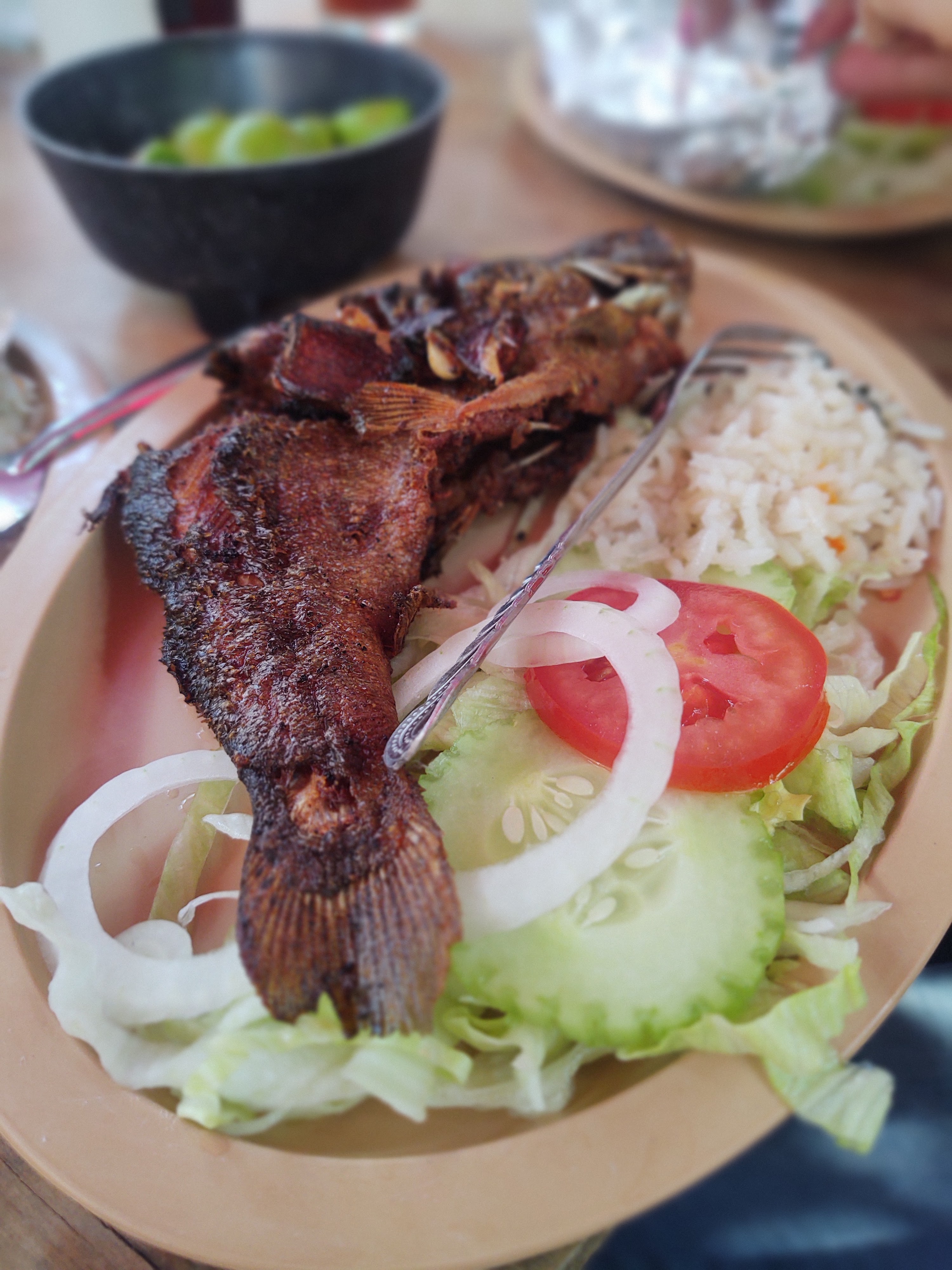 El Escarabajo image 7