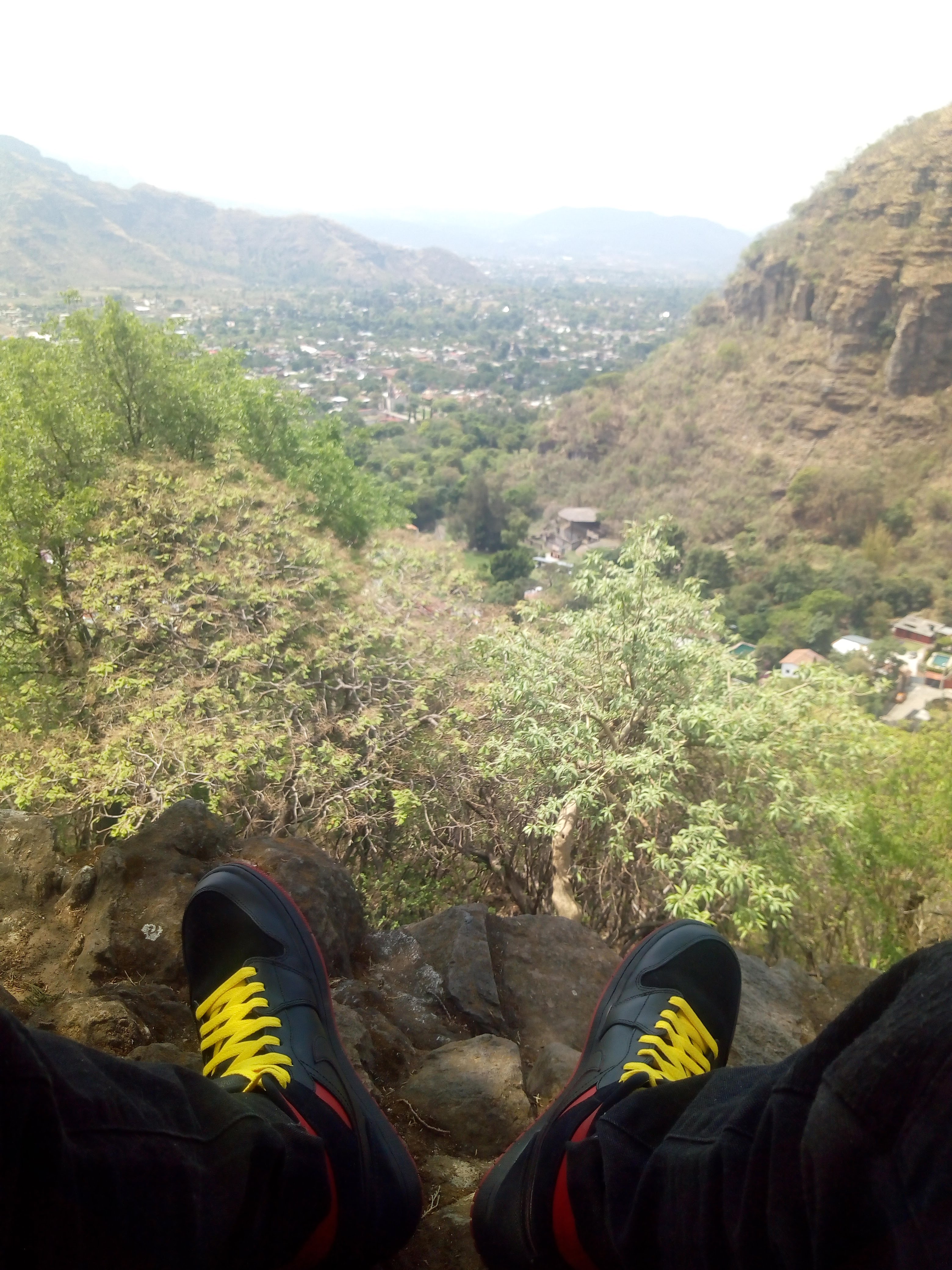 El Escarabajo image 10