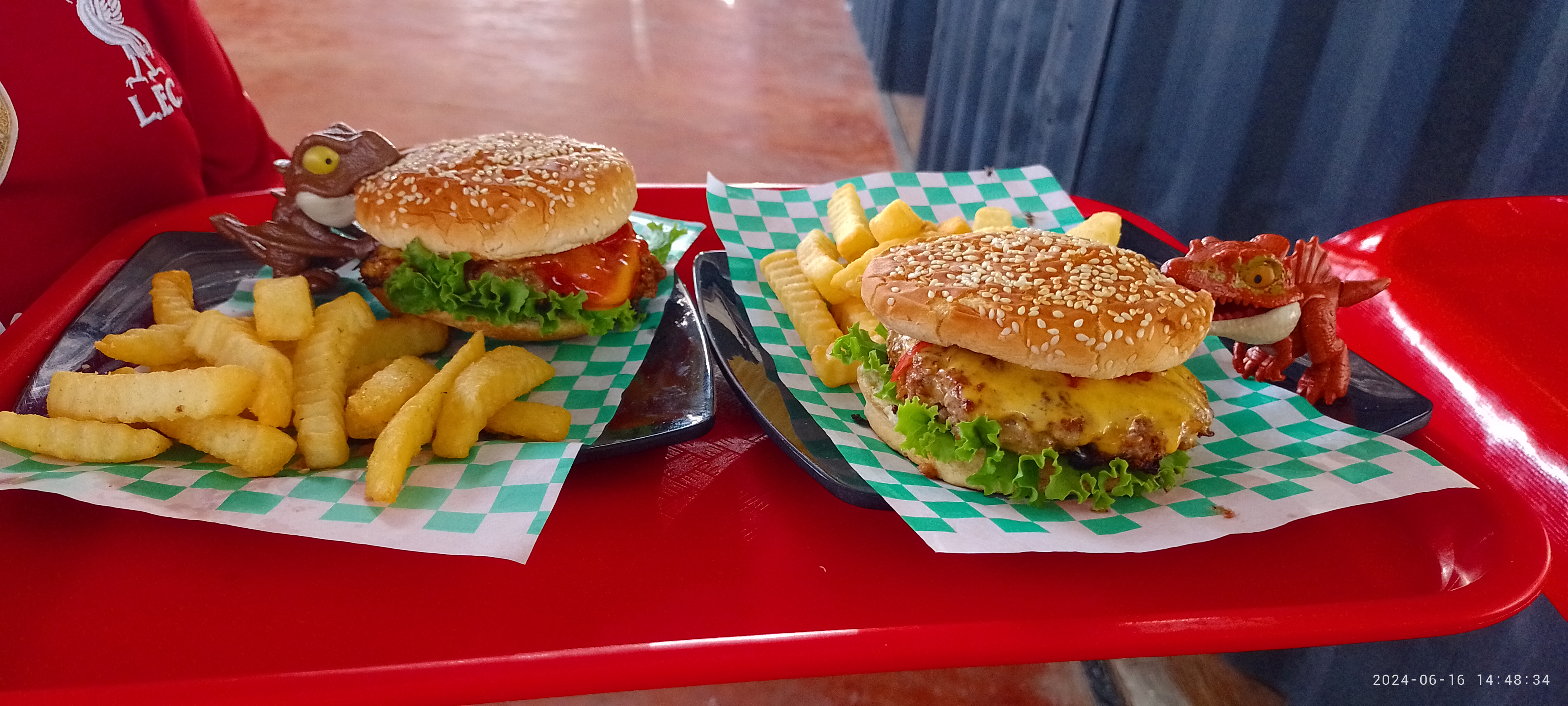 TITAN HOUSE - MALINALCO image 4