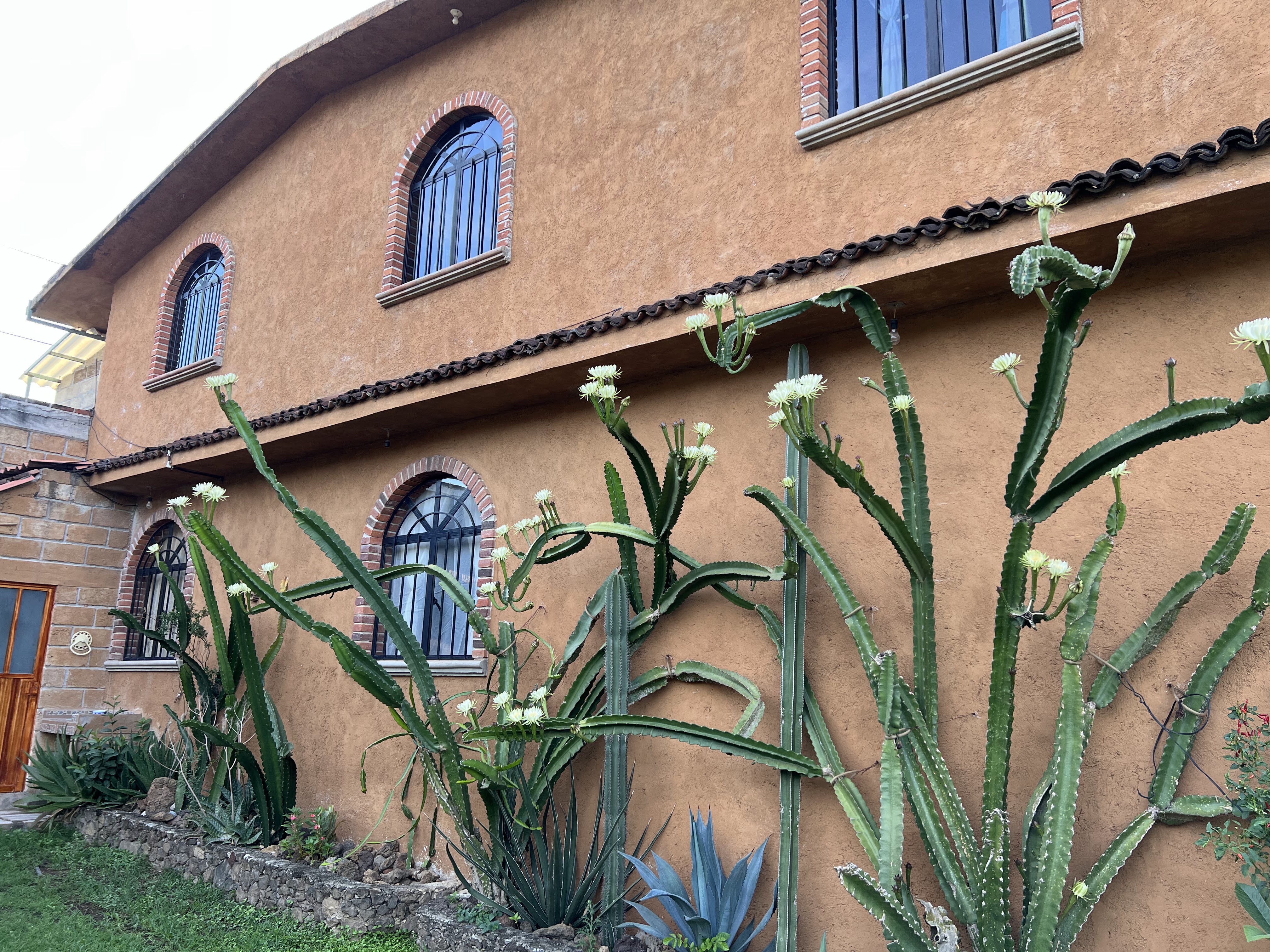 Cocina Lupita image 4