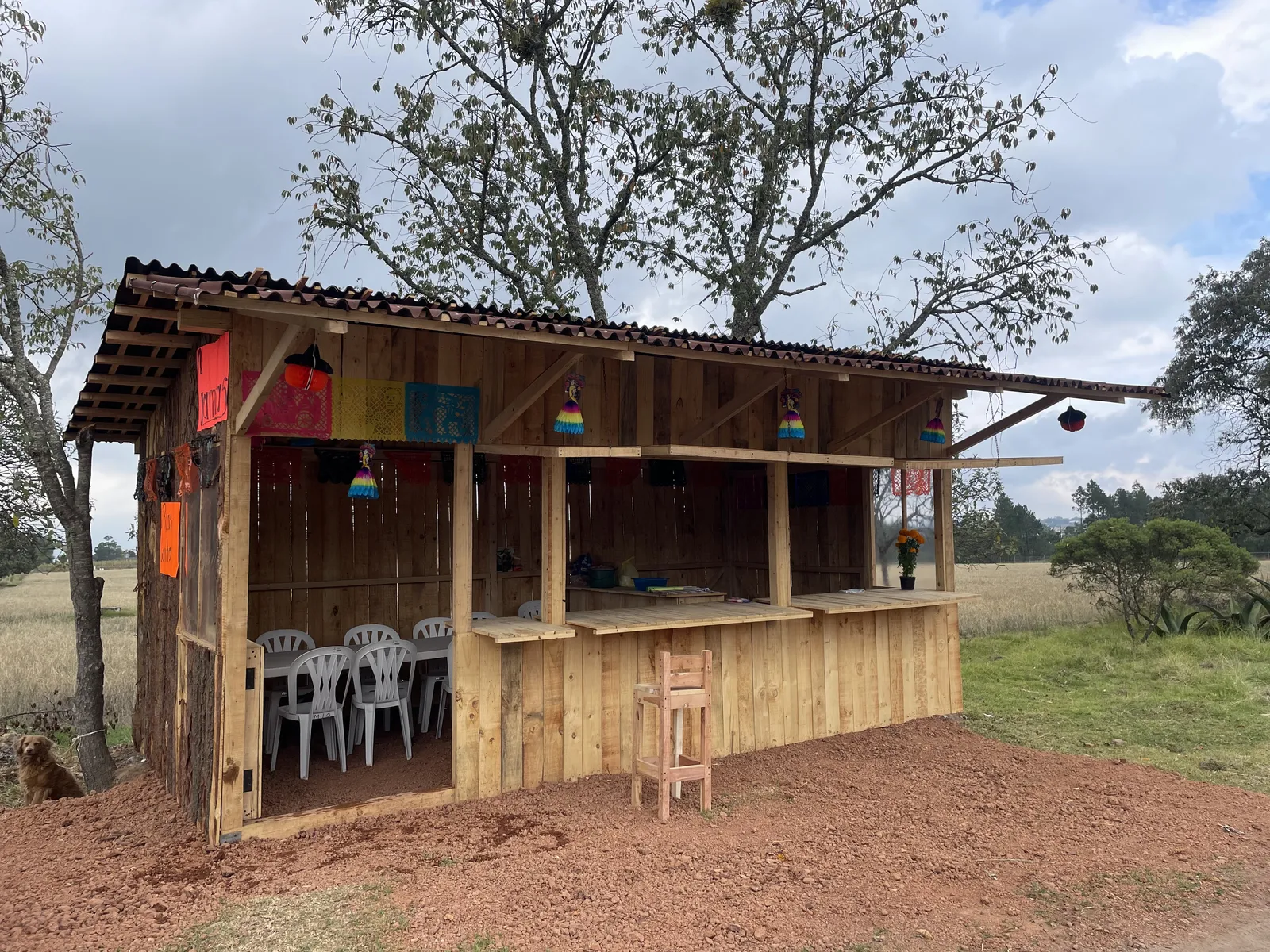 Taquería Las Palmas image 2