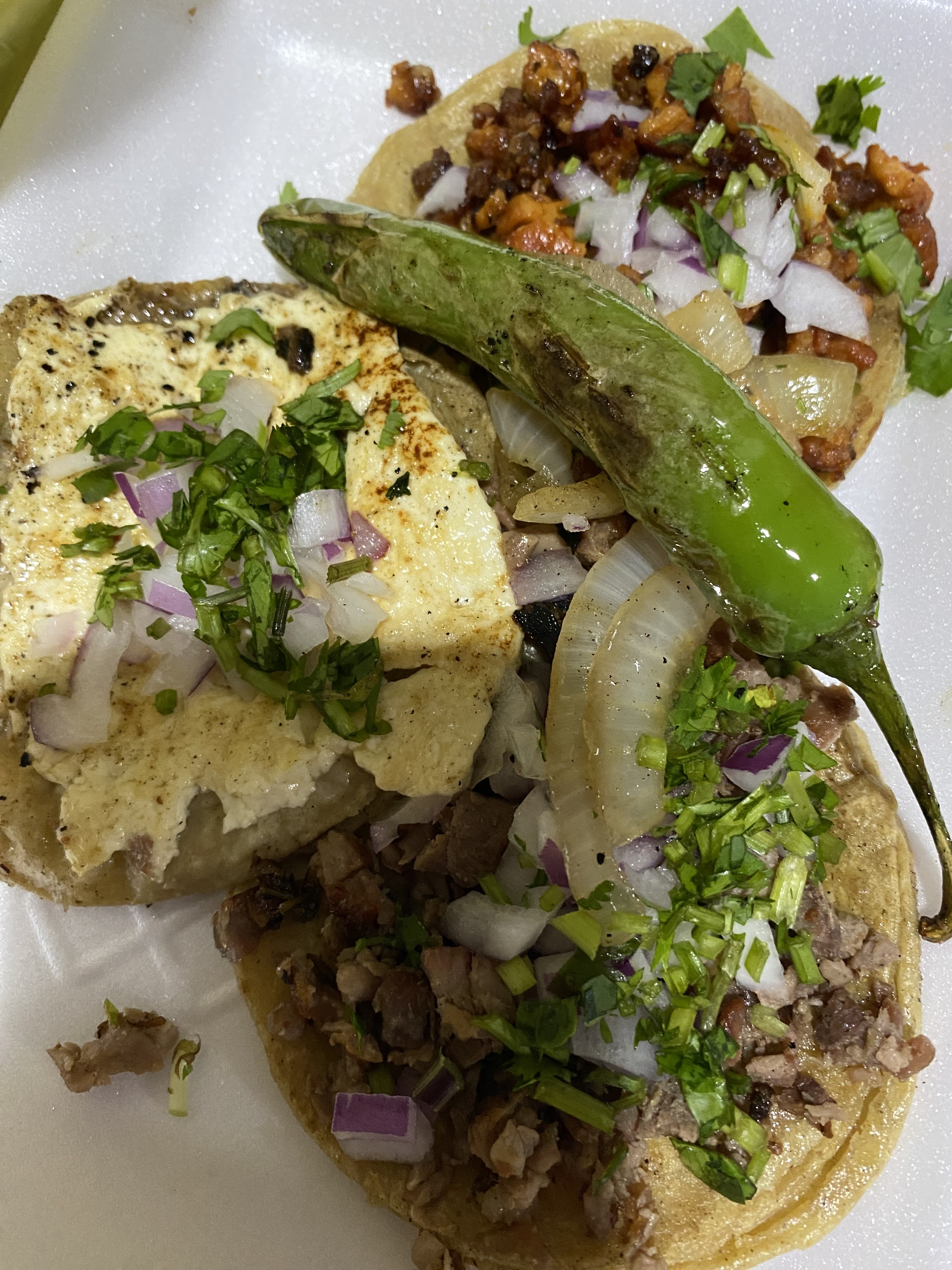 Taqueria Matute image 2