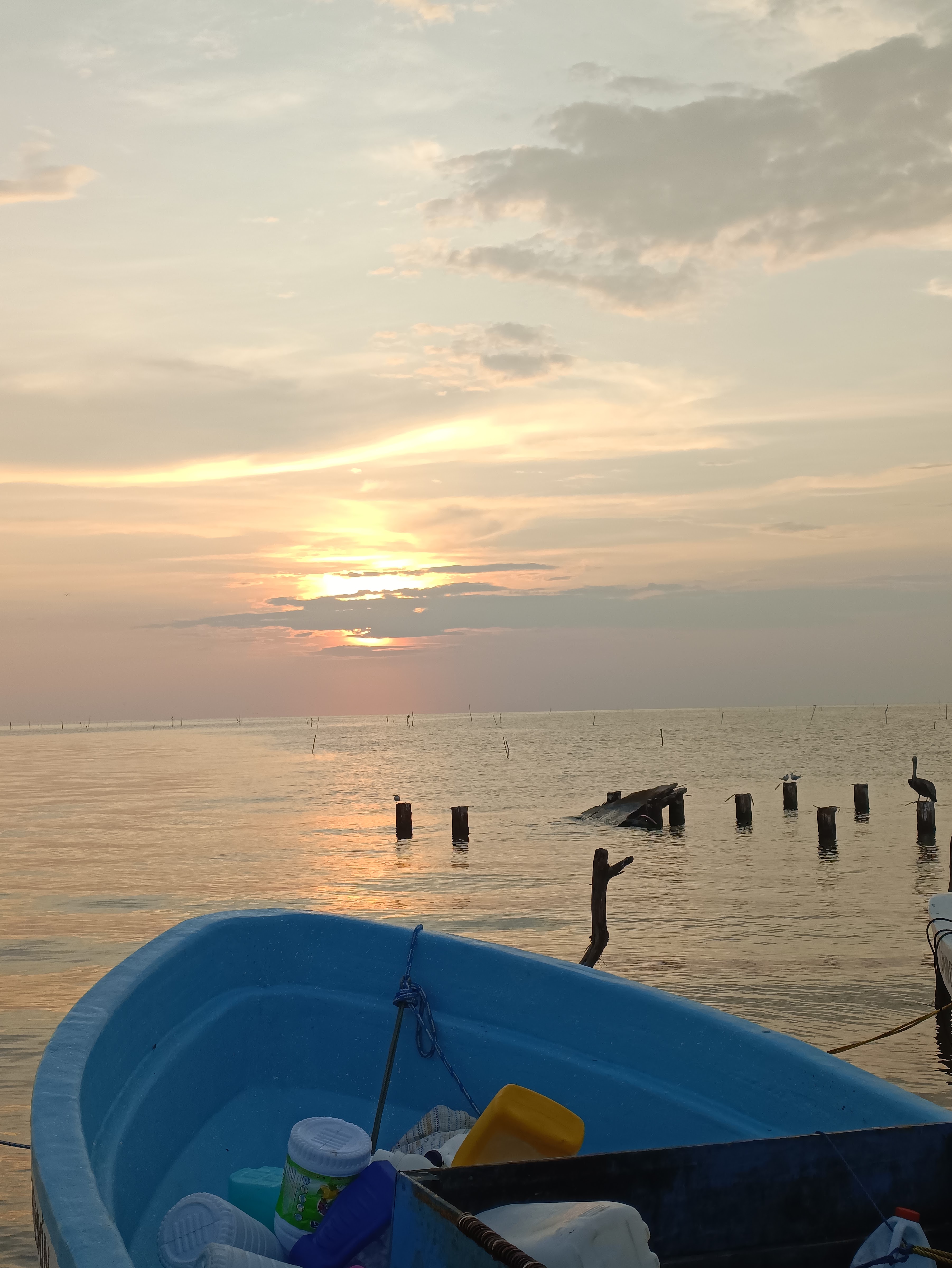 Botanitas Bar la Bahía image 2