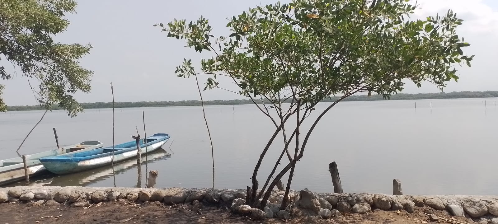 Palapa del amigo CHICANA image 6