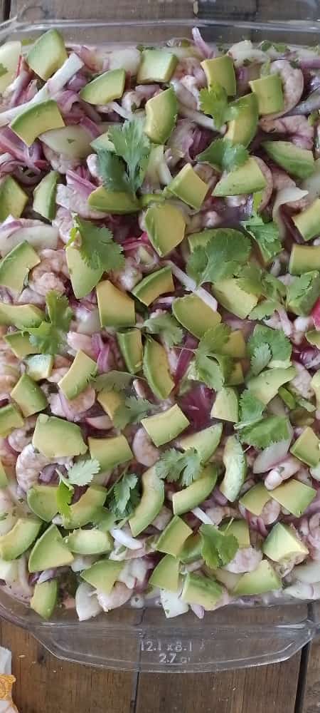 Palapa del amigo CHICANA image 7