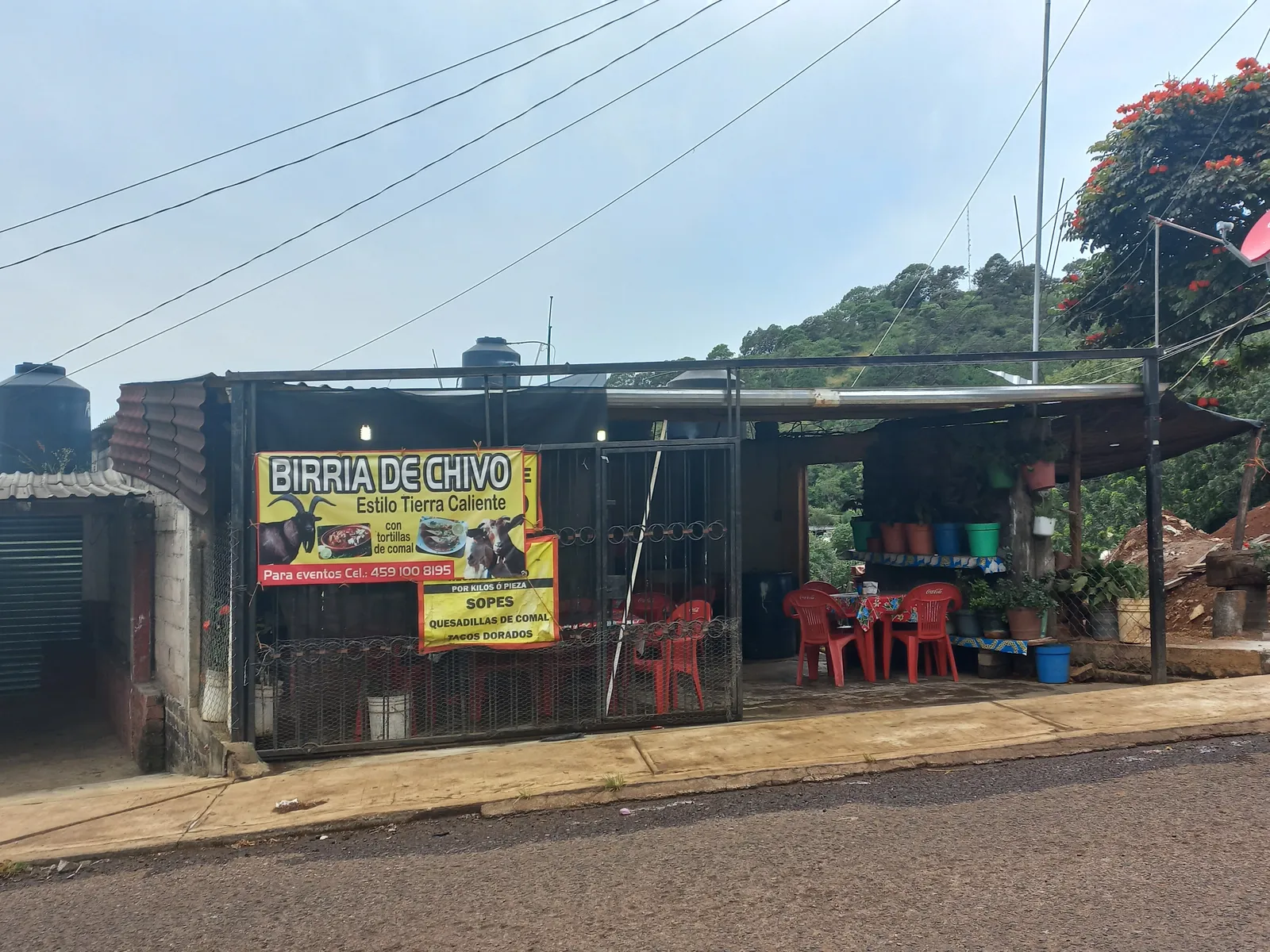 Birria El Güero image 4