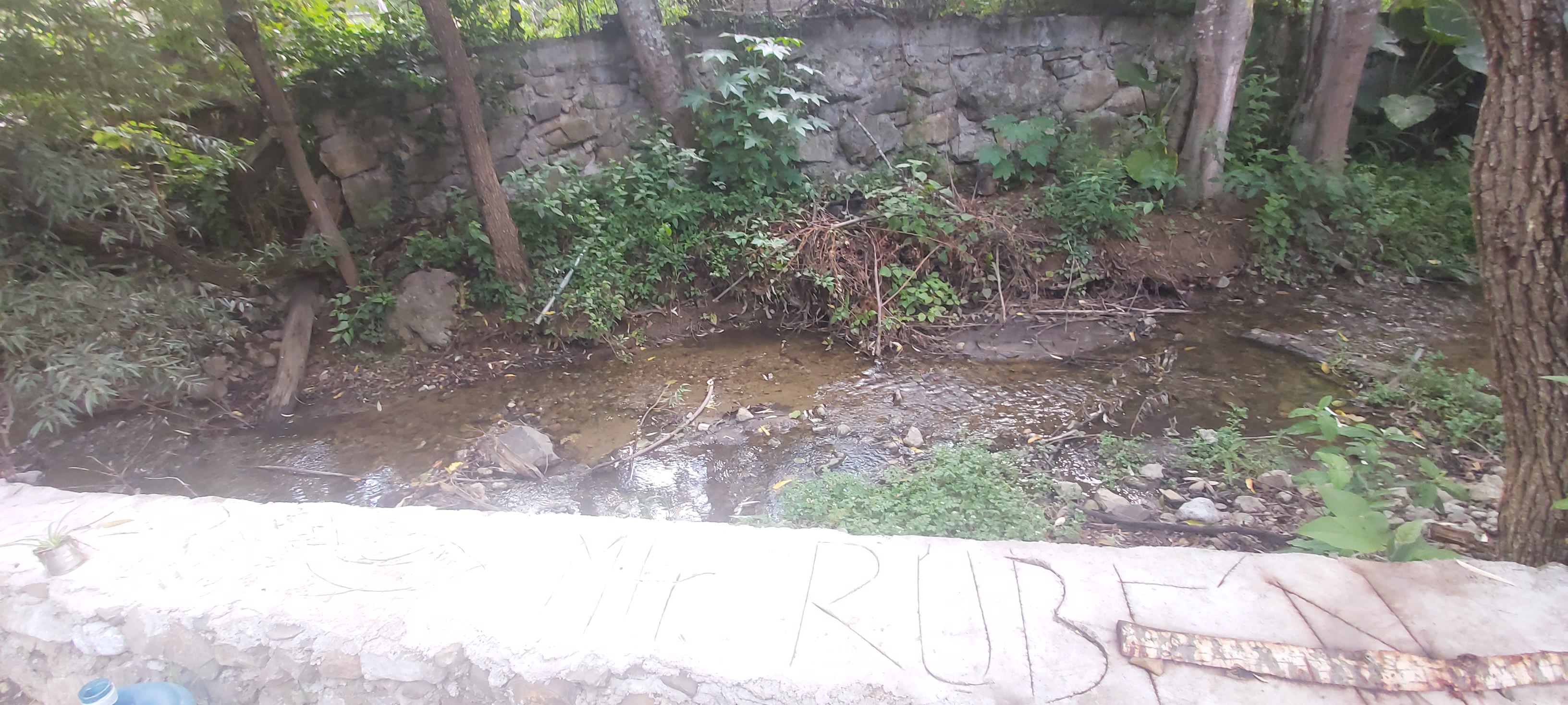 Centro Recreativo YOO LEEZY image 7