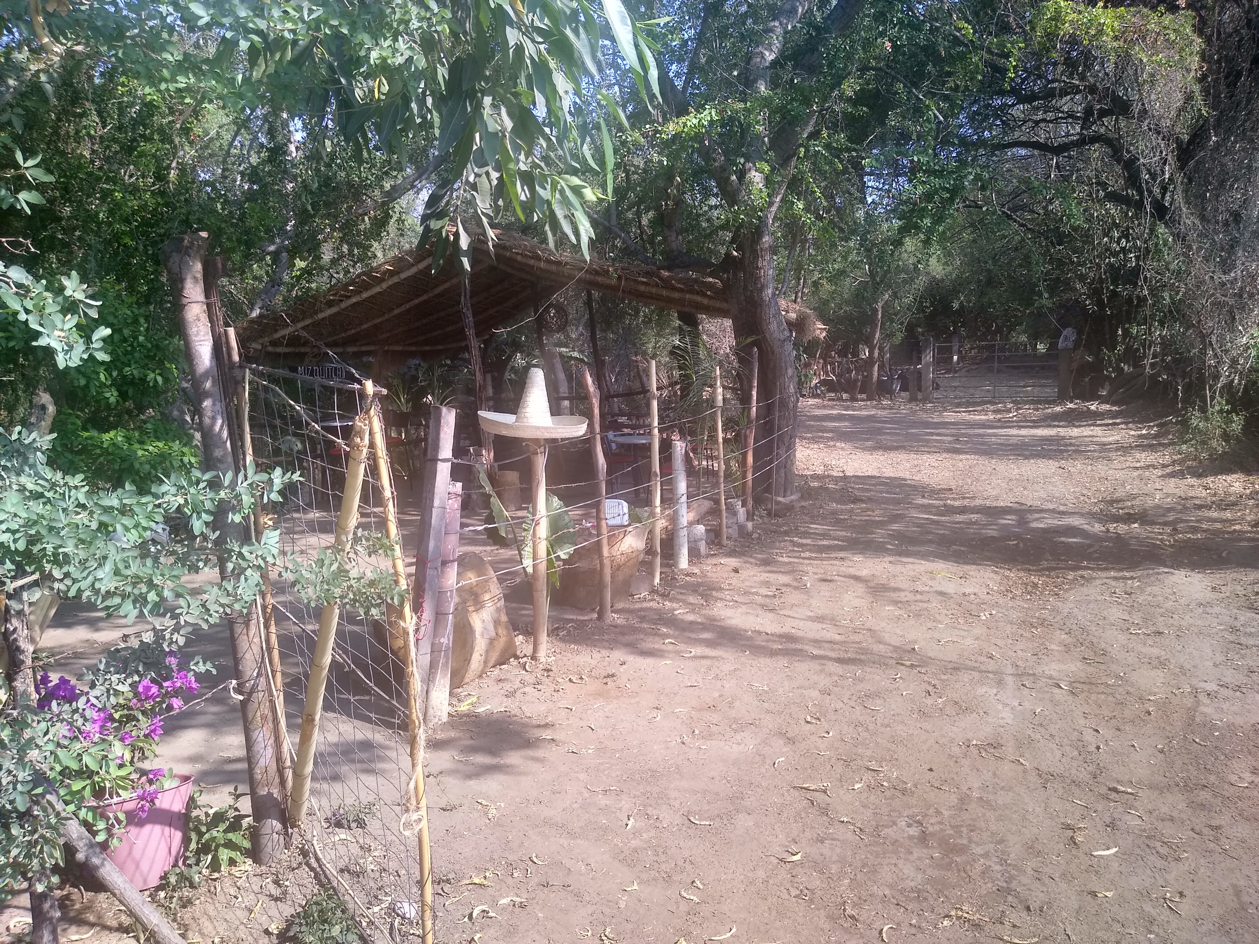 MIZQUITLAN image 2