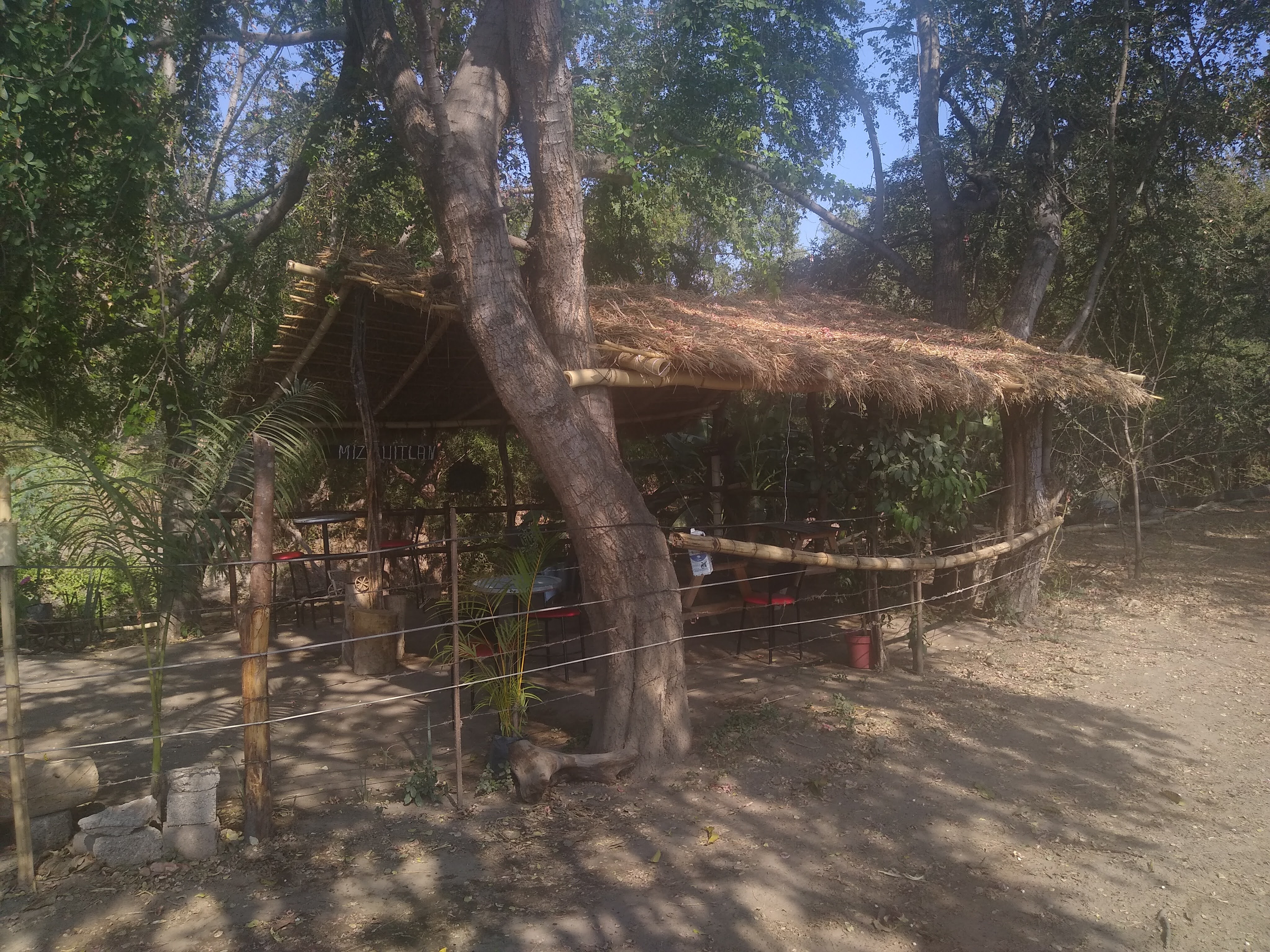 MIZQUITLAN image 6