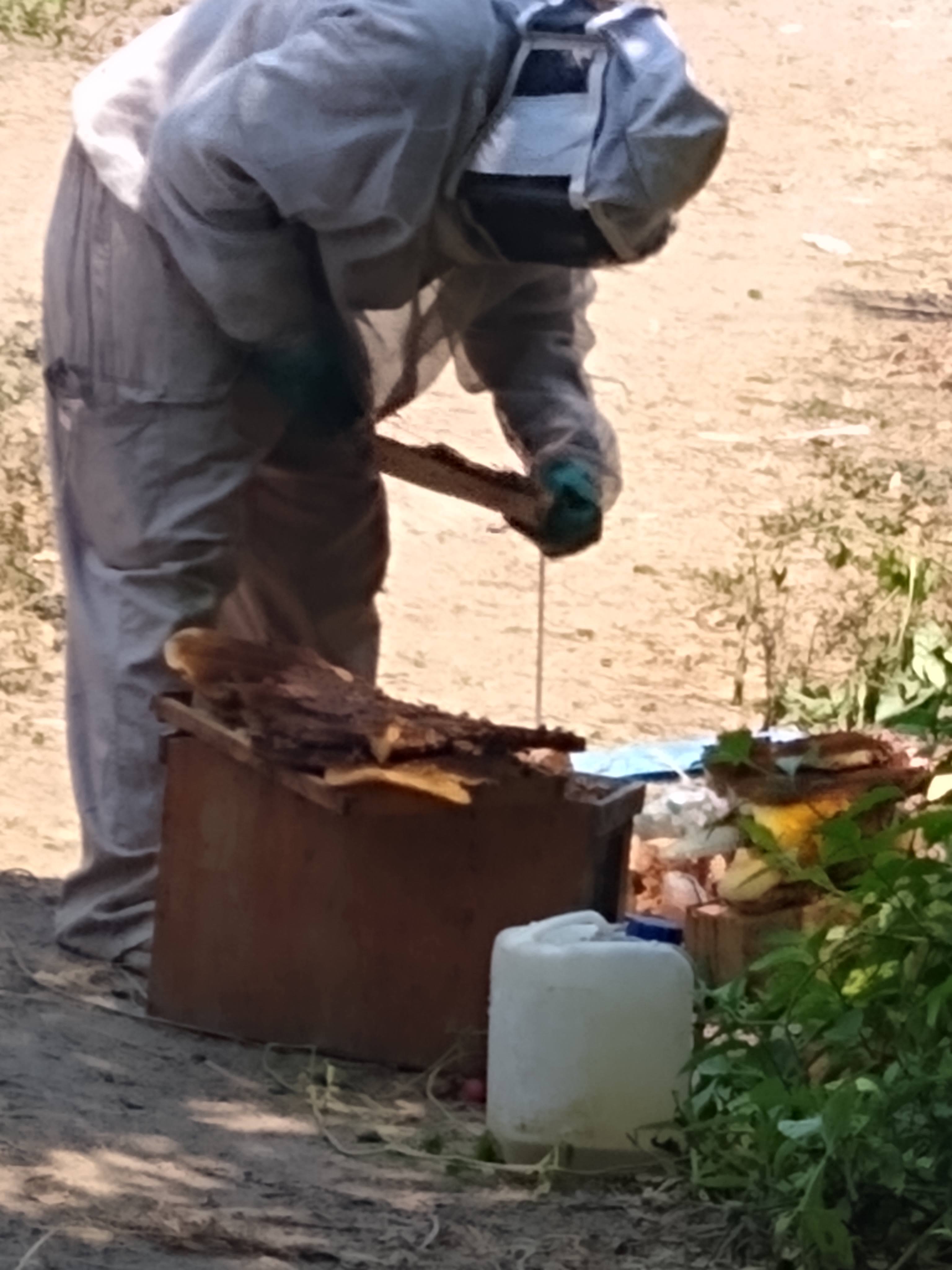 MIZQUITLAN image 10