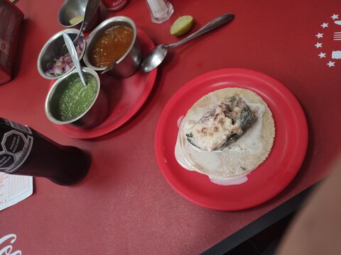 Tacos de Guisado “El Güero” image 2