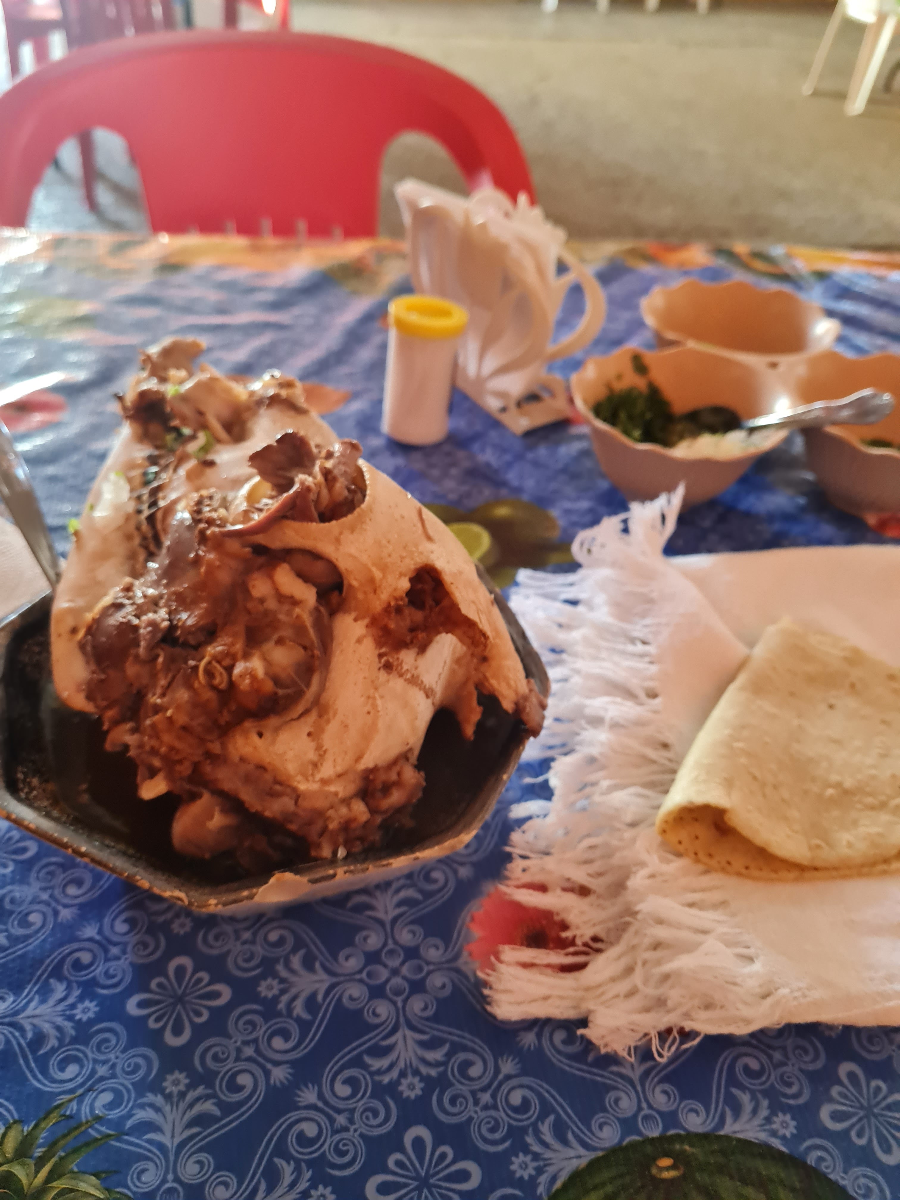 CENADURIA ADILENE image 2