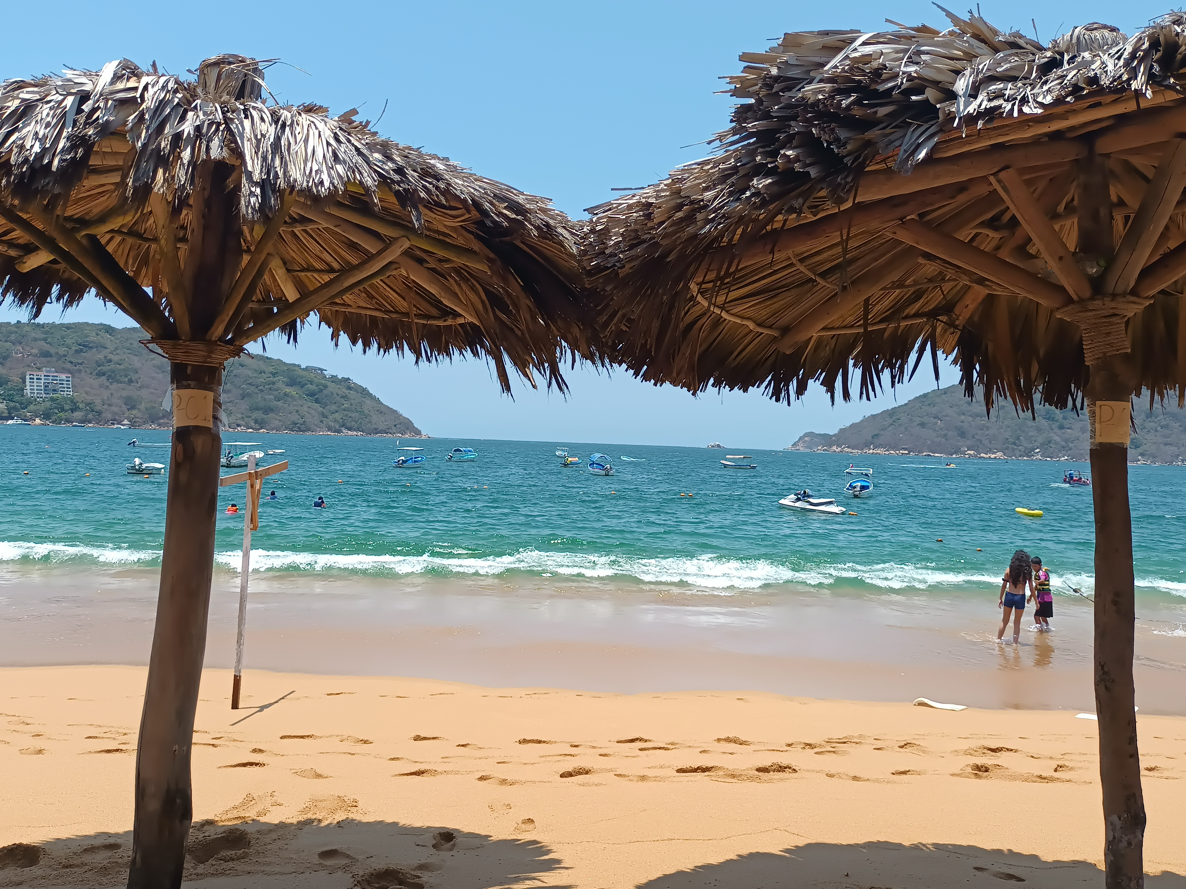 Restaurant “La Orquidea ” image 9