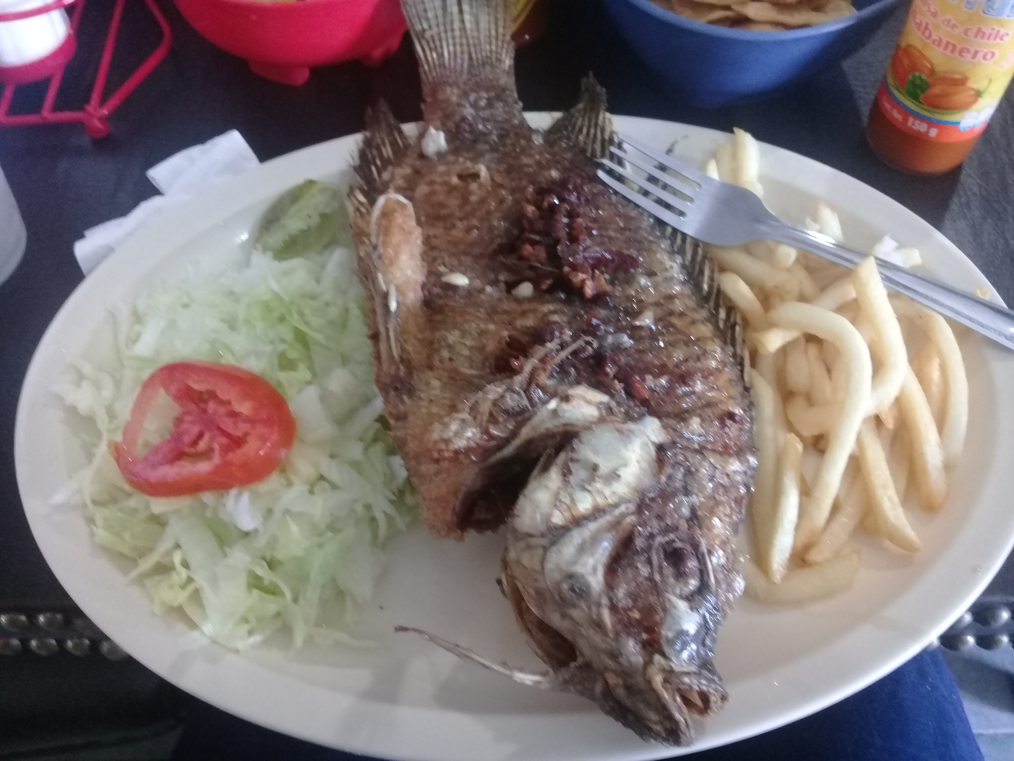 El Costeño image 10