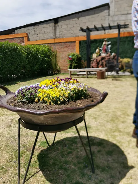 Piel Canela image 1