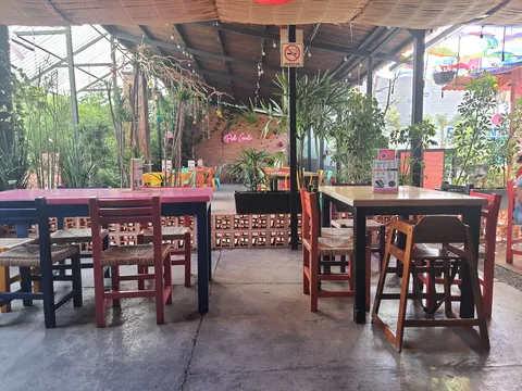 Piel Canela image 6