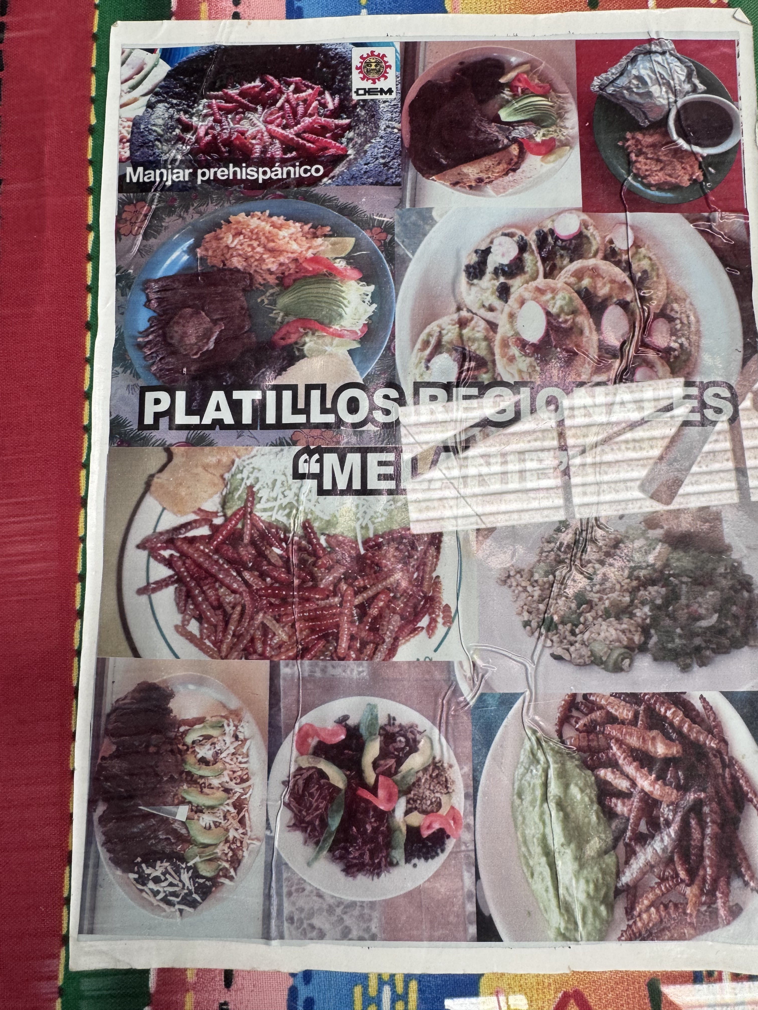 BARBACOA DE BORREGO MELANIE image 8