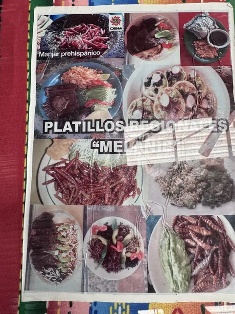 BARBACOA DE BORREGO MELANIE image 8