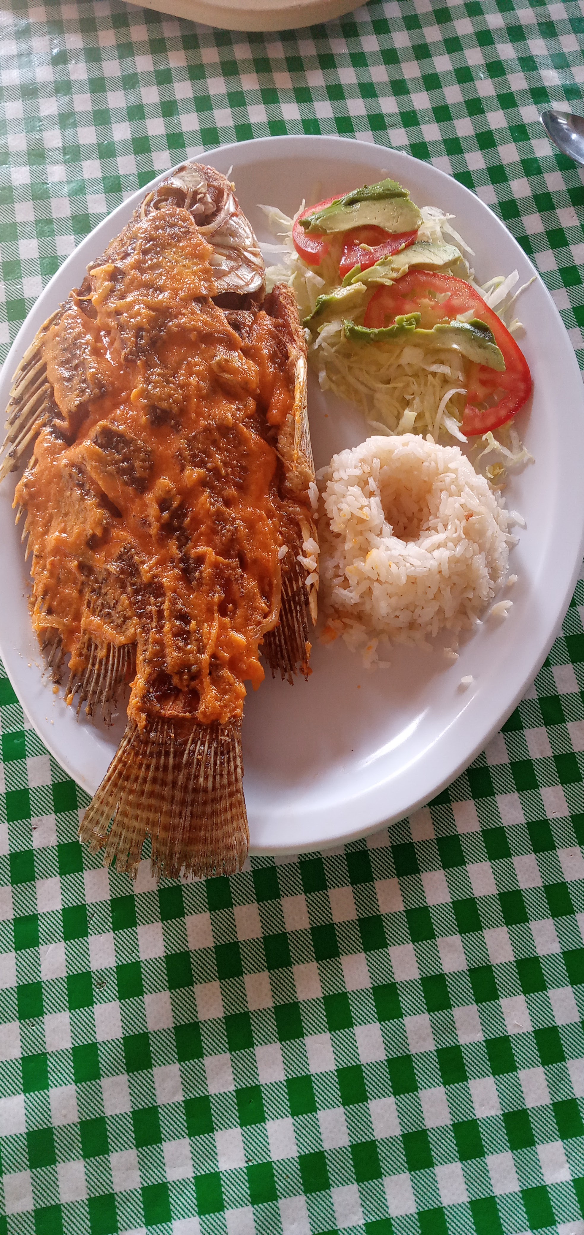 PALAPA “ANDREITA” image 2