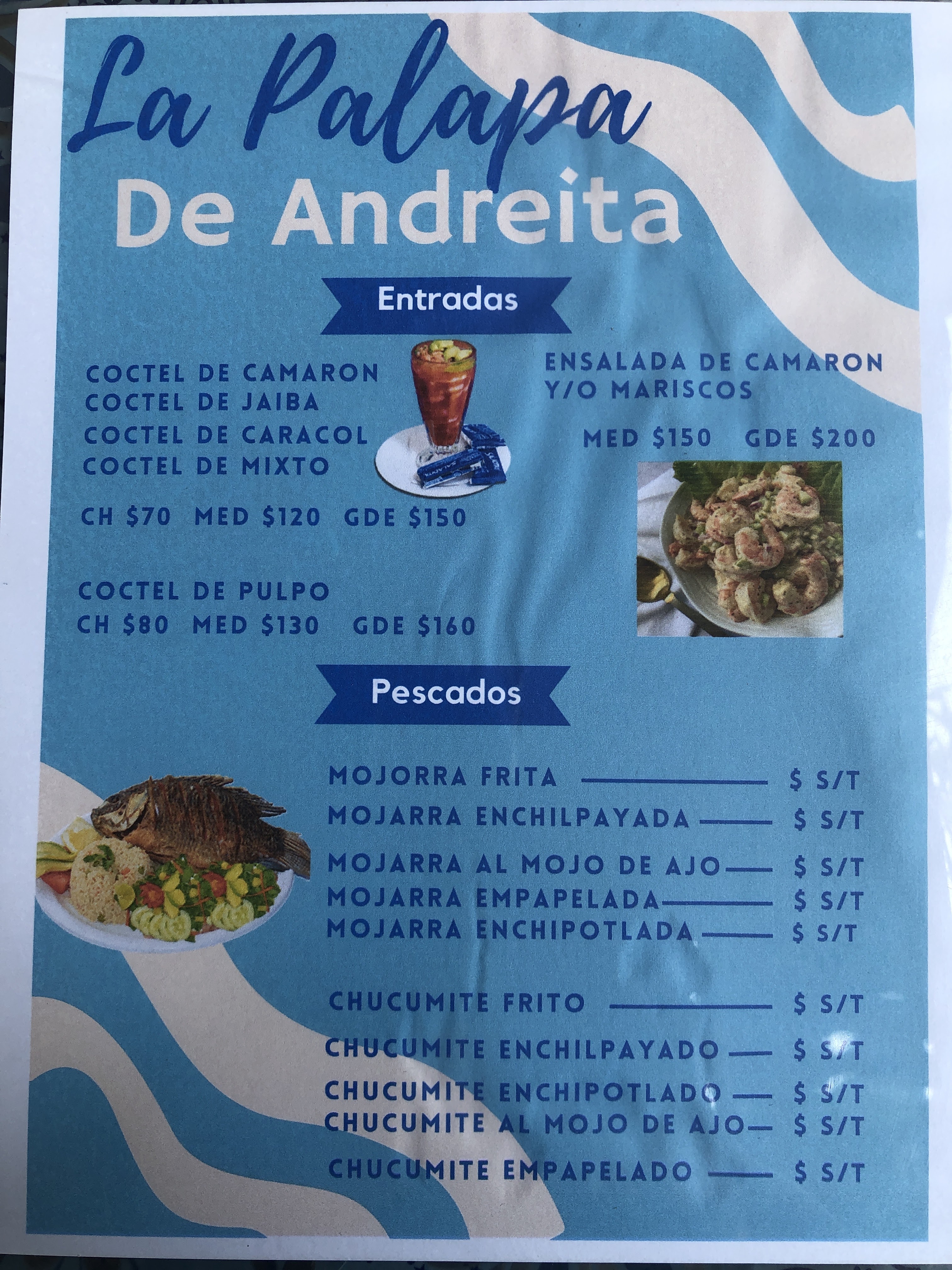 PALAPA “ANDREITA” image 7