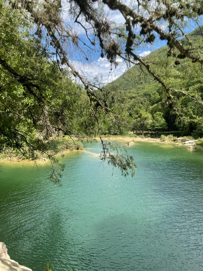 El Guaje huasteco image 4