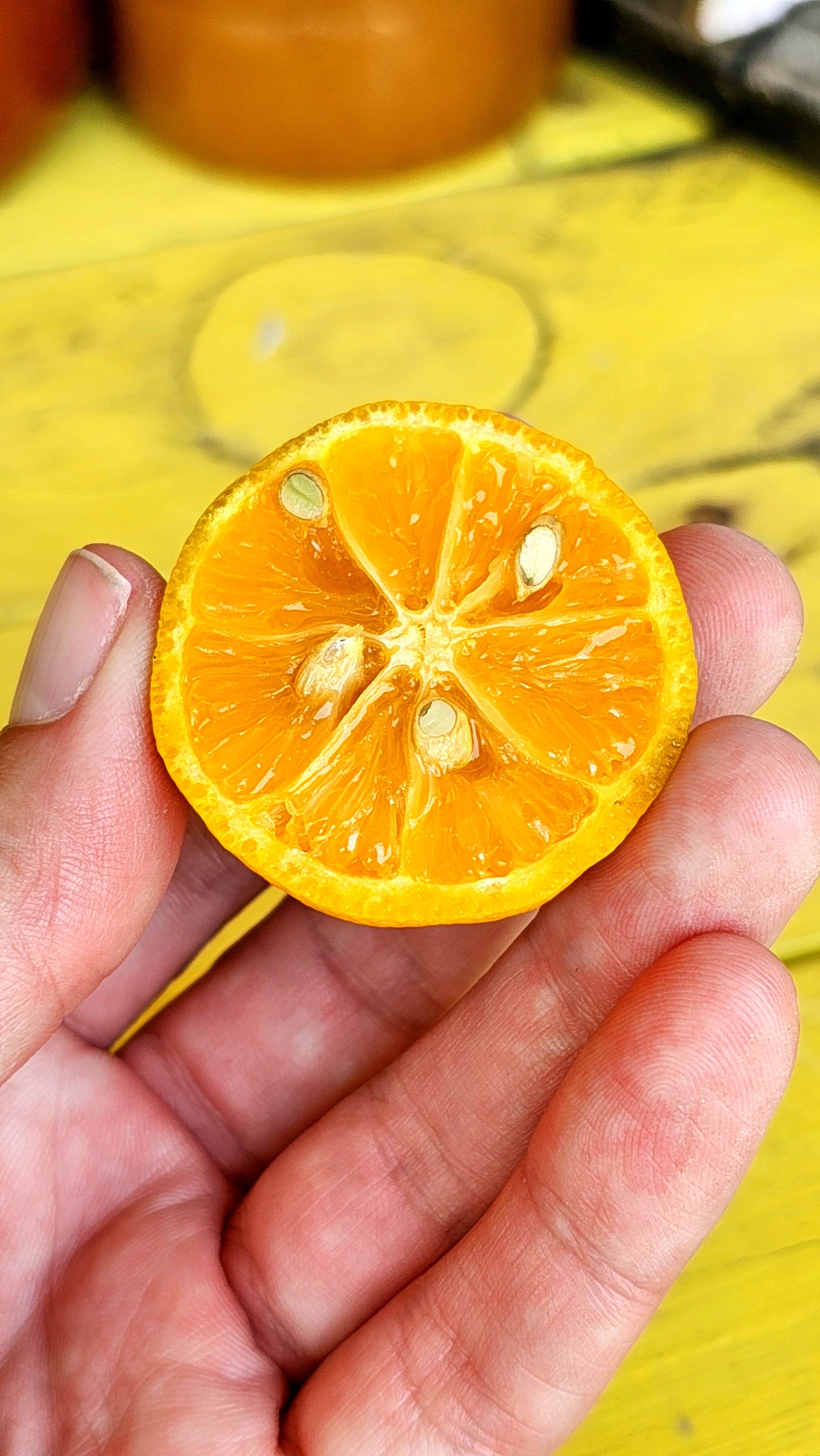 El Guaje huasteco image 9