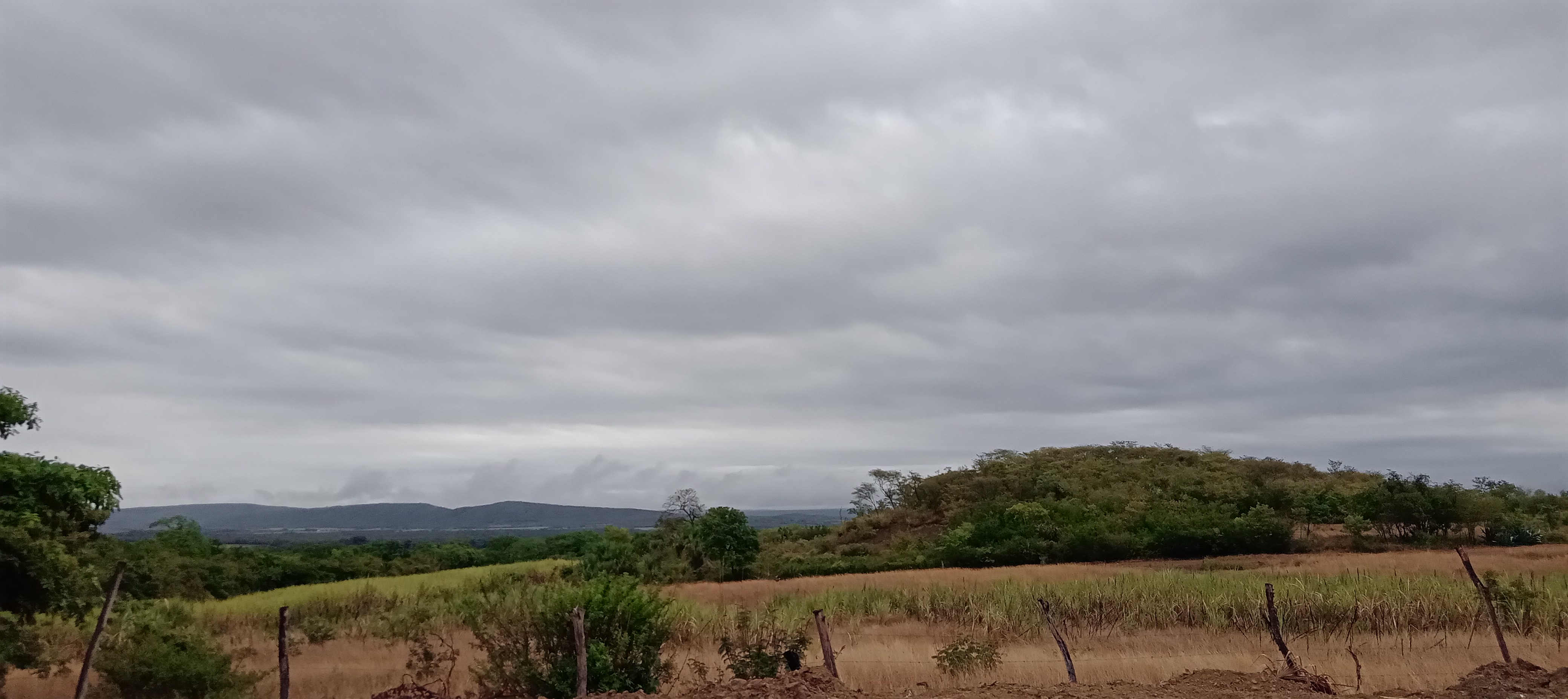 Comedor la Cabaña Huasteca image 9