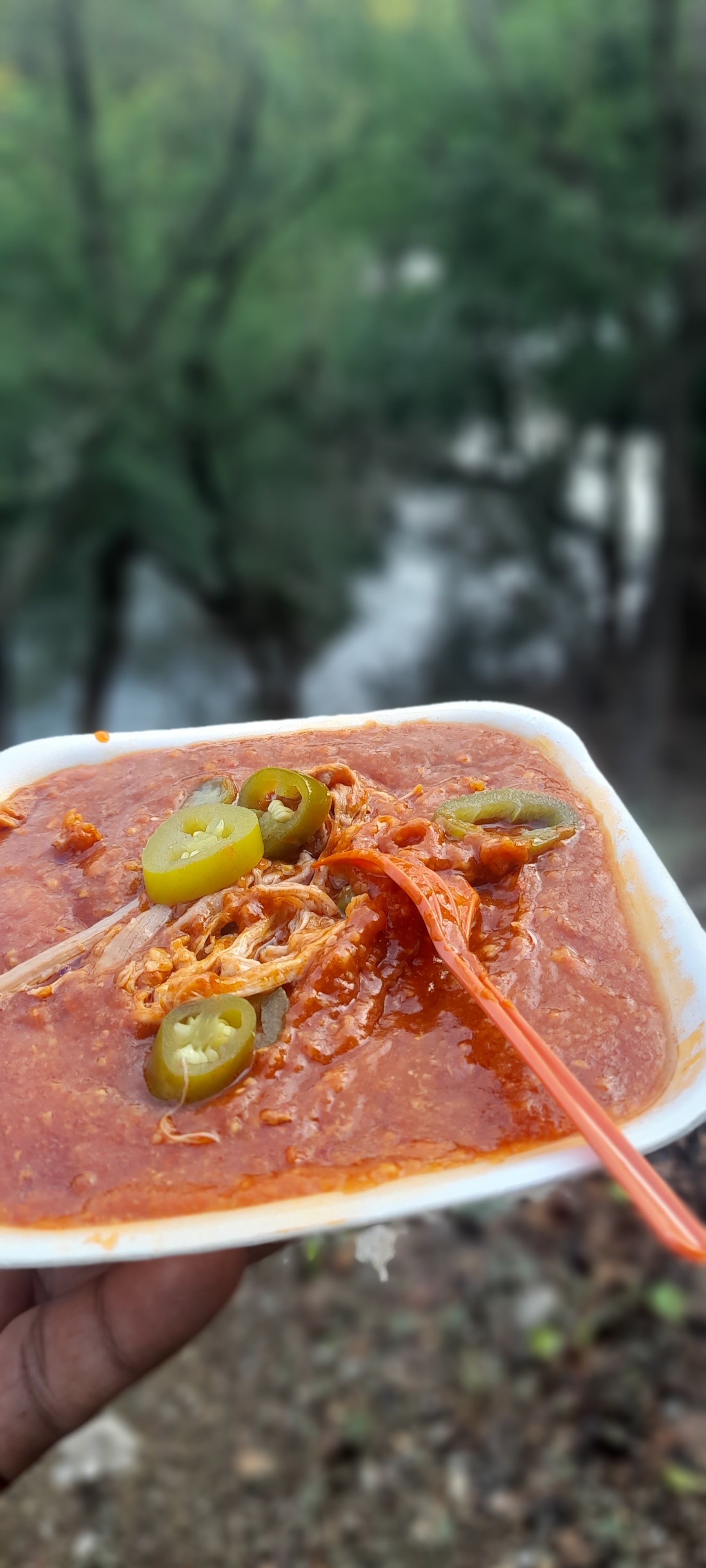 JULIO ZACAHUILES y GORDITAS DOÑA ESTHER image 2