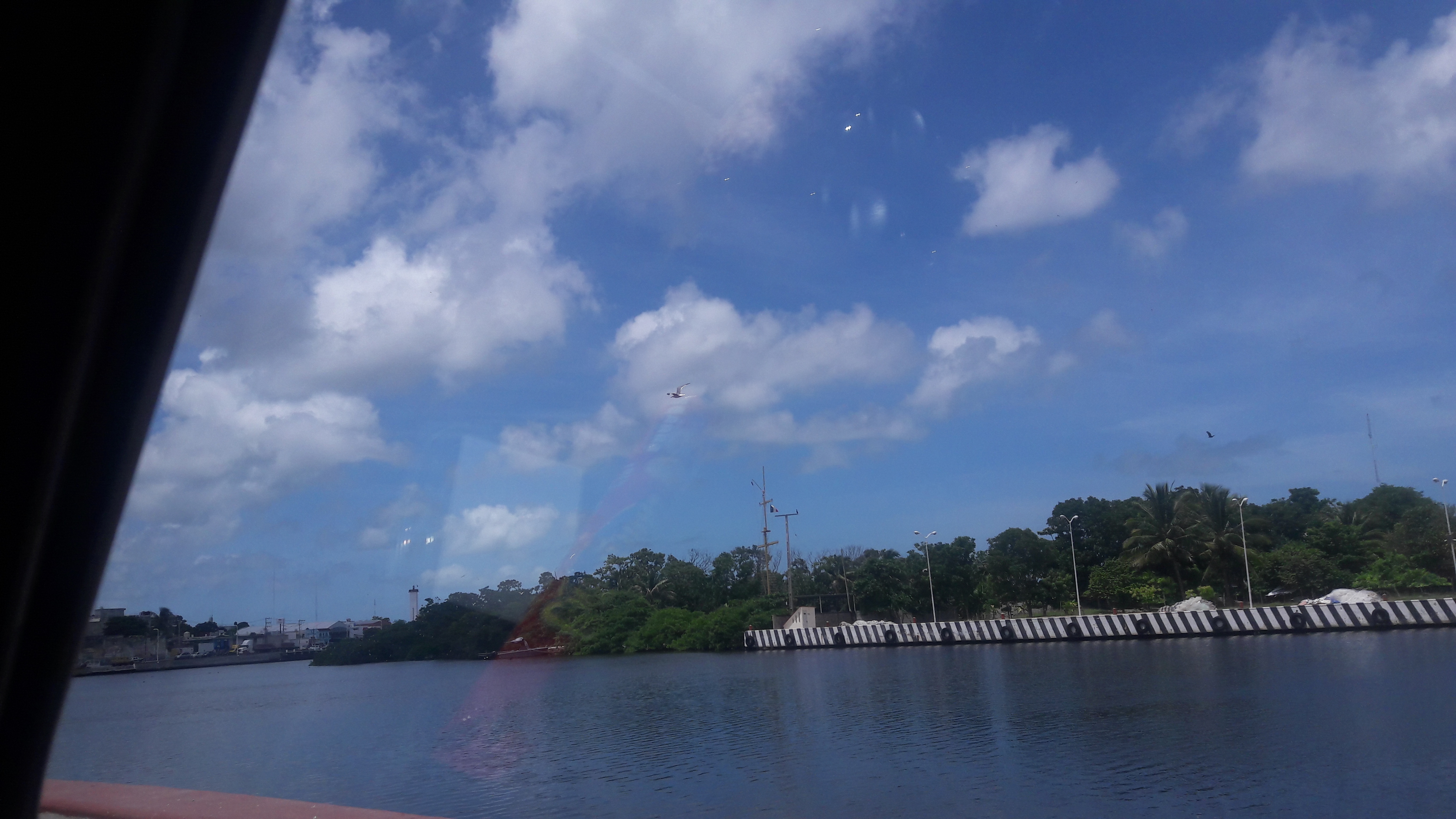 EL REY LECHON image 3