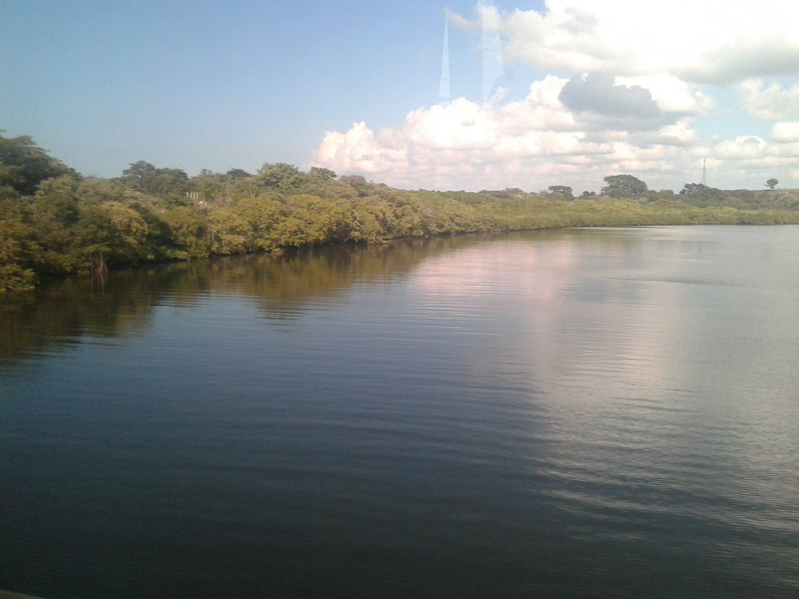 EL REY LECHON image 8