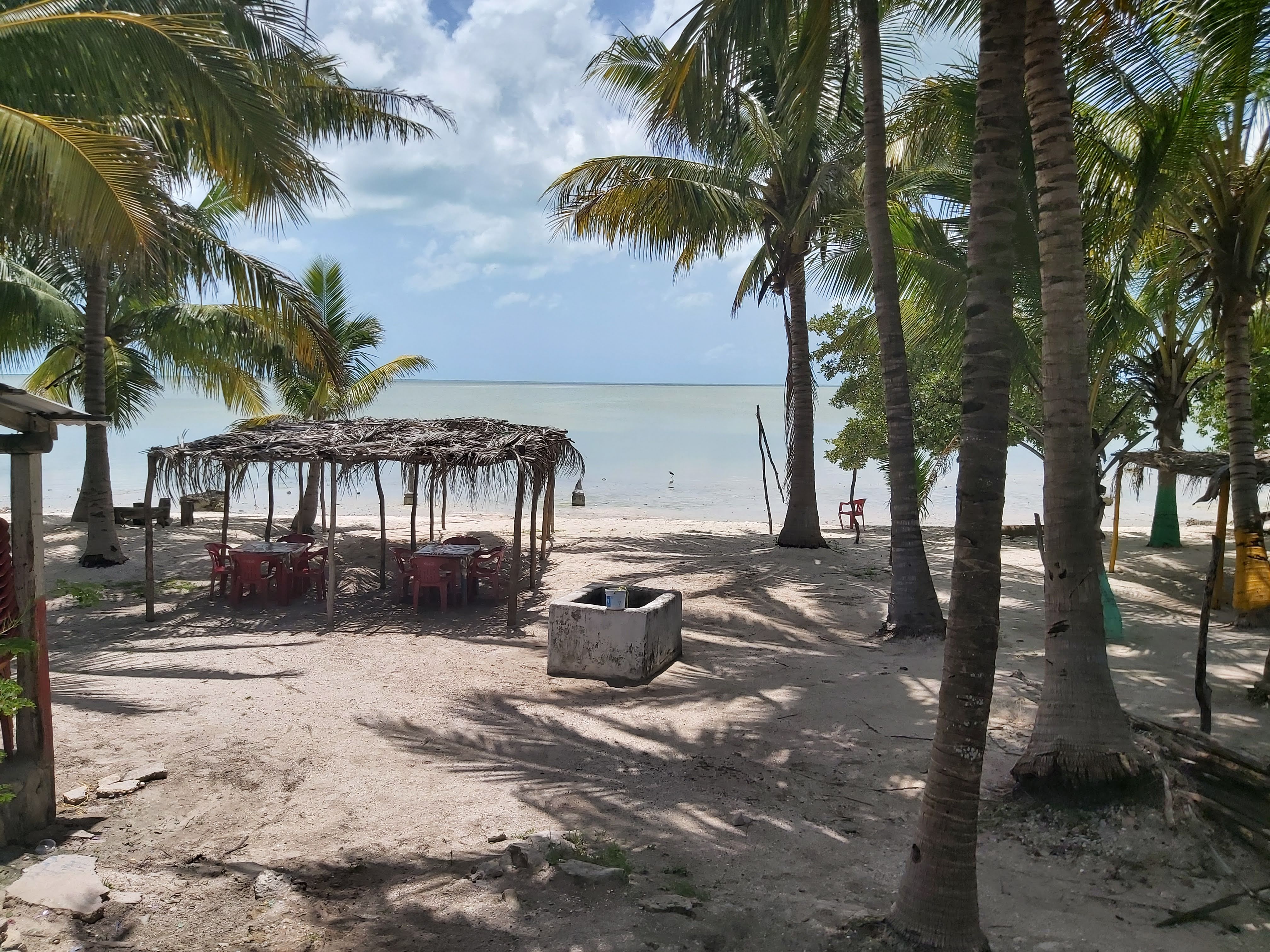 COCKTELERIA "Dory's" image 3