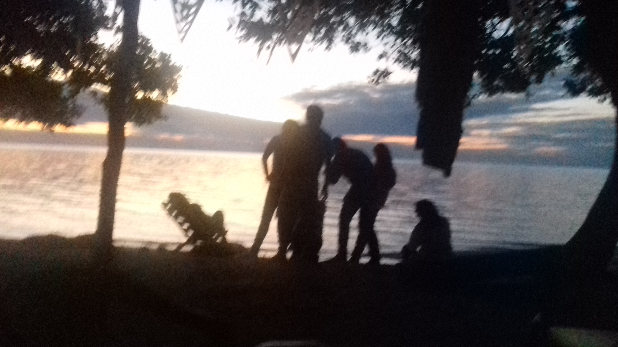 COCKTELERIA "Dory's" image 7