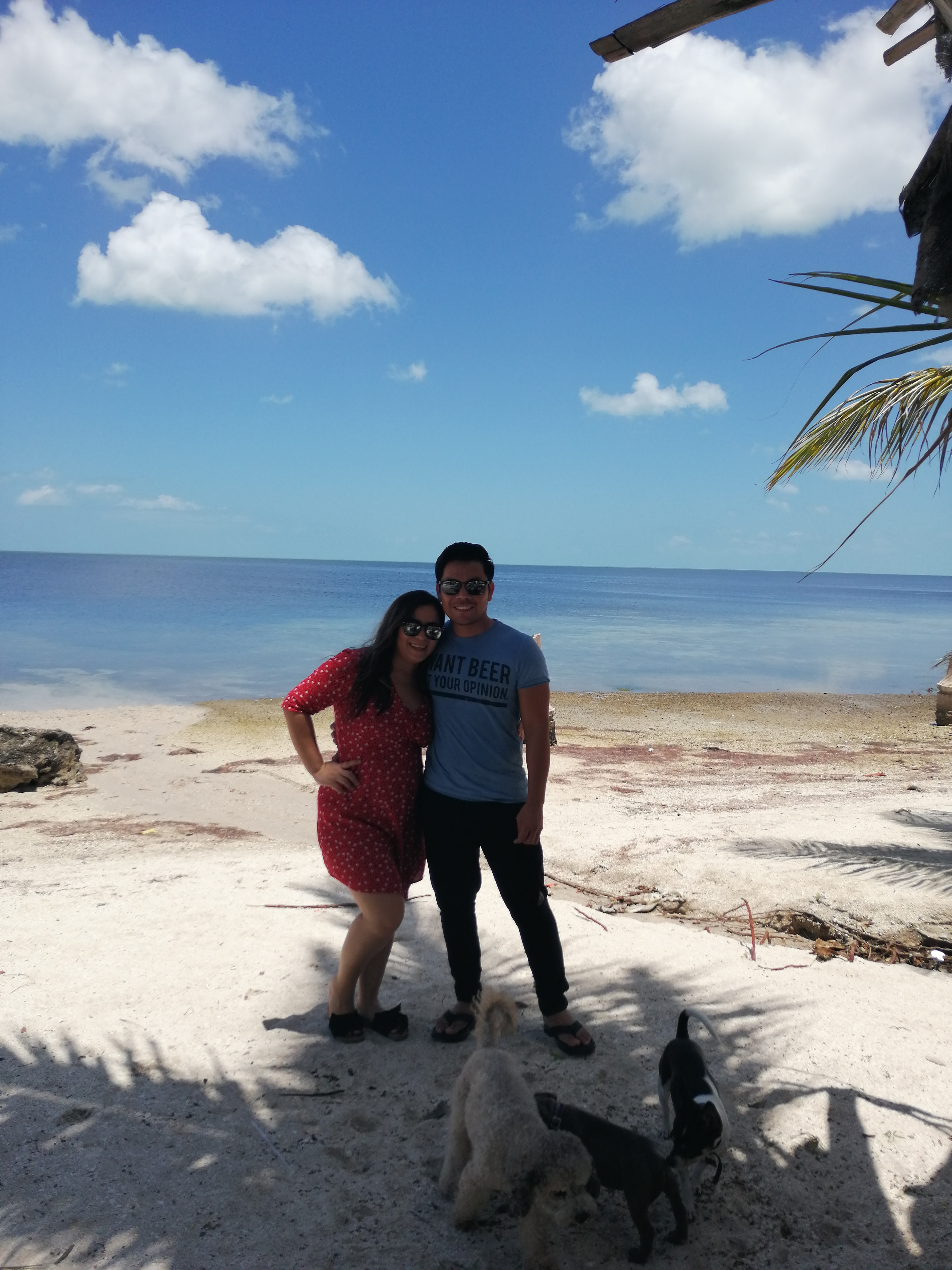 COCKTELERIA "Dory's" image 9