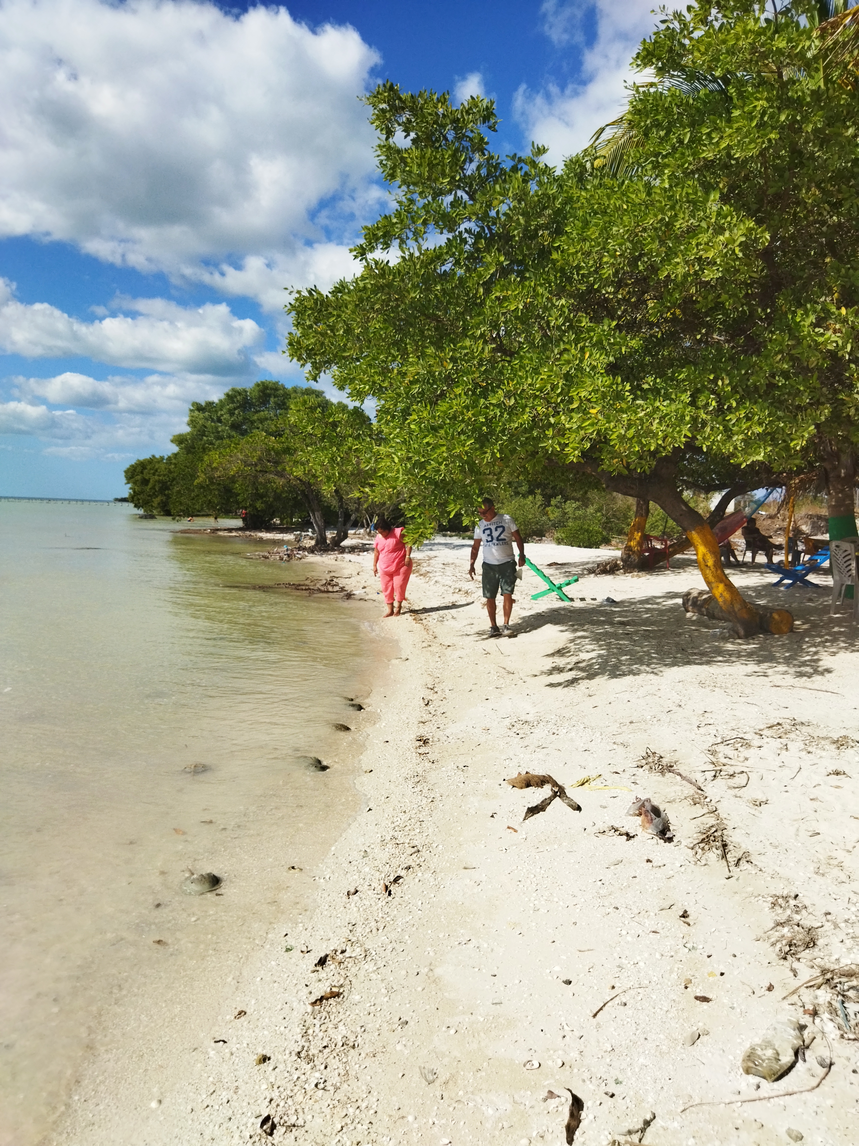 COCKTELERIA "Dory's" image 10