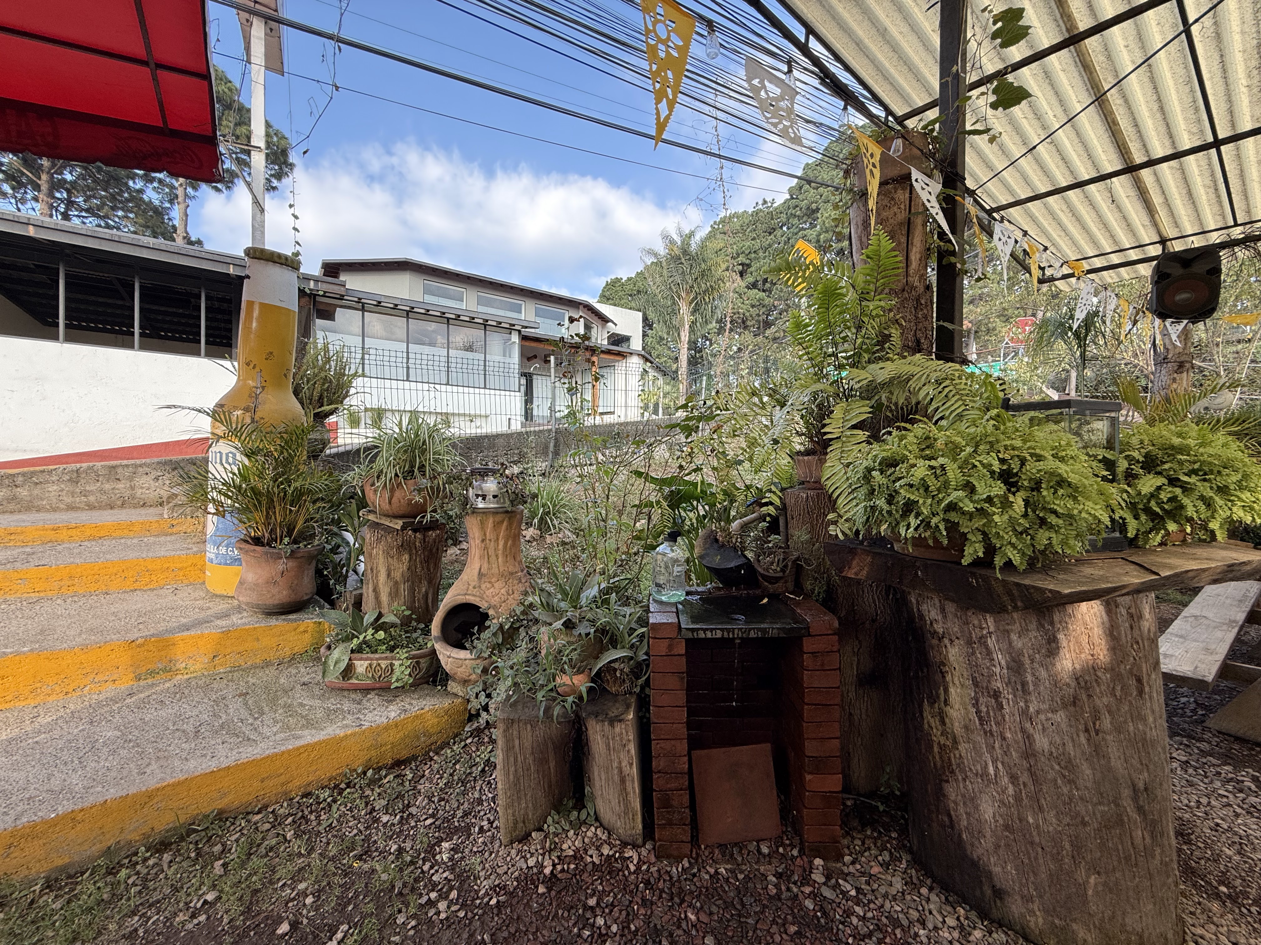 Taqueria Los Minguritos image 5