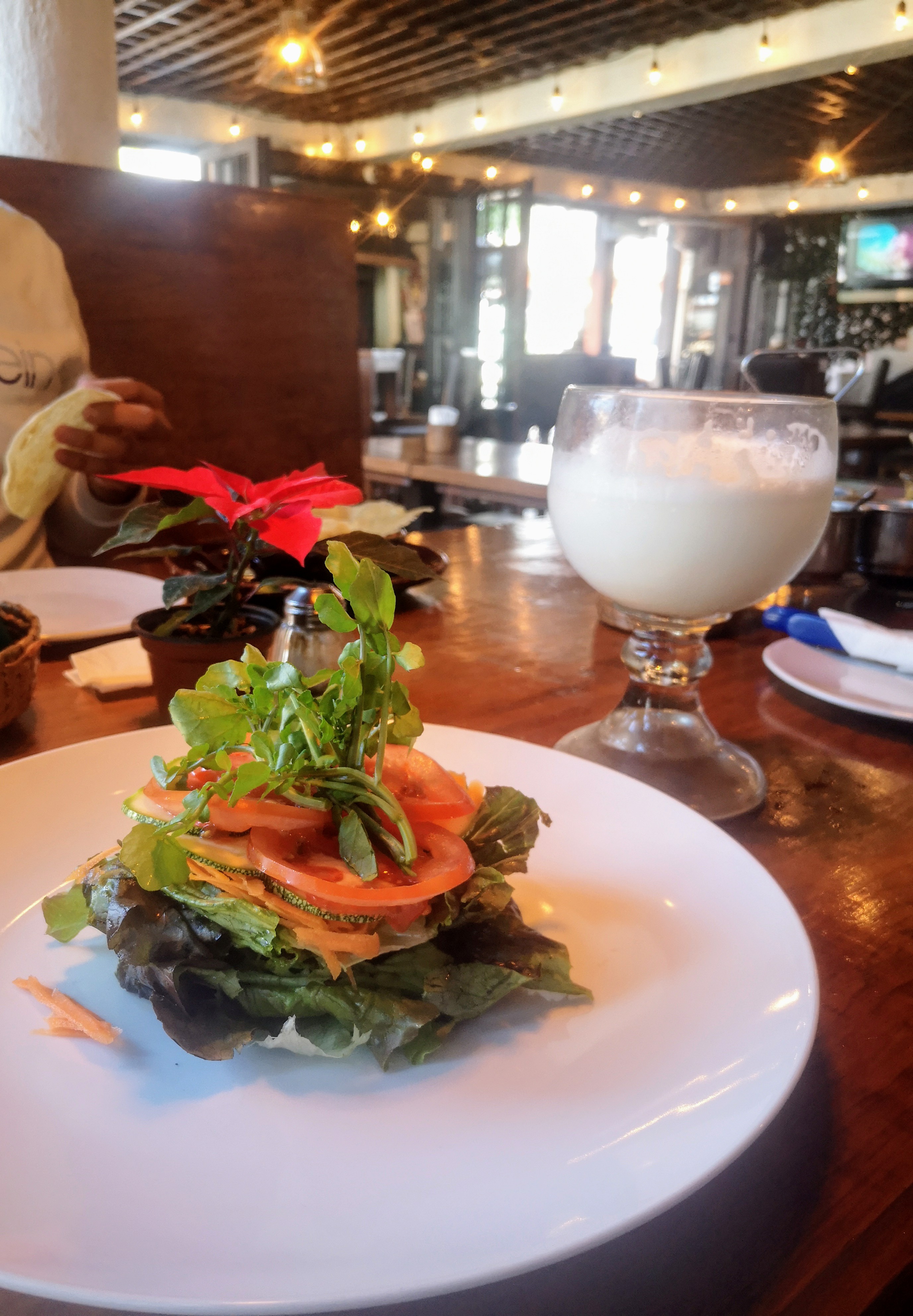 Torito Willys Àvandaro image 9