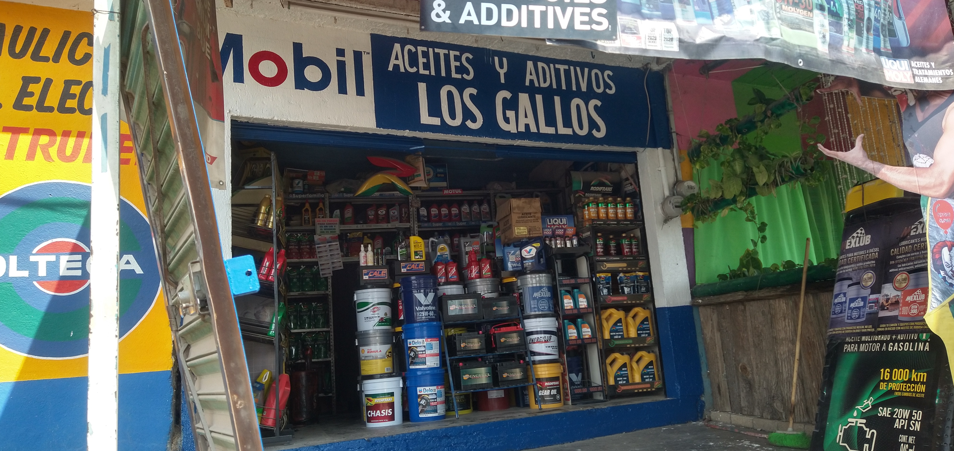 Carnitas San Fransisco image 2