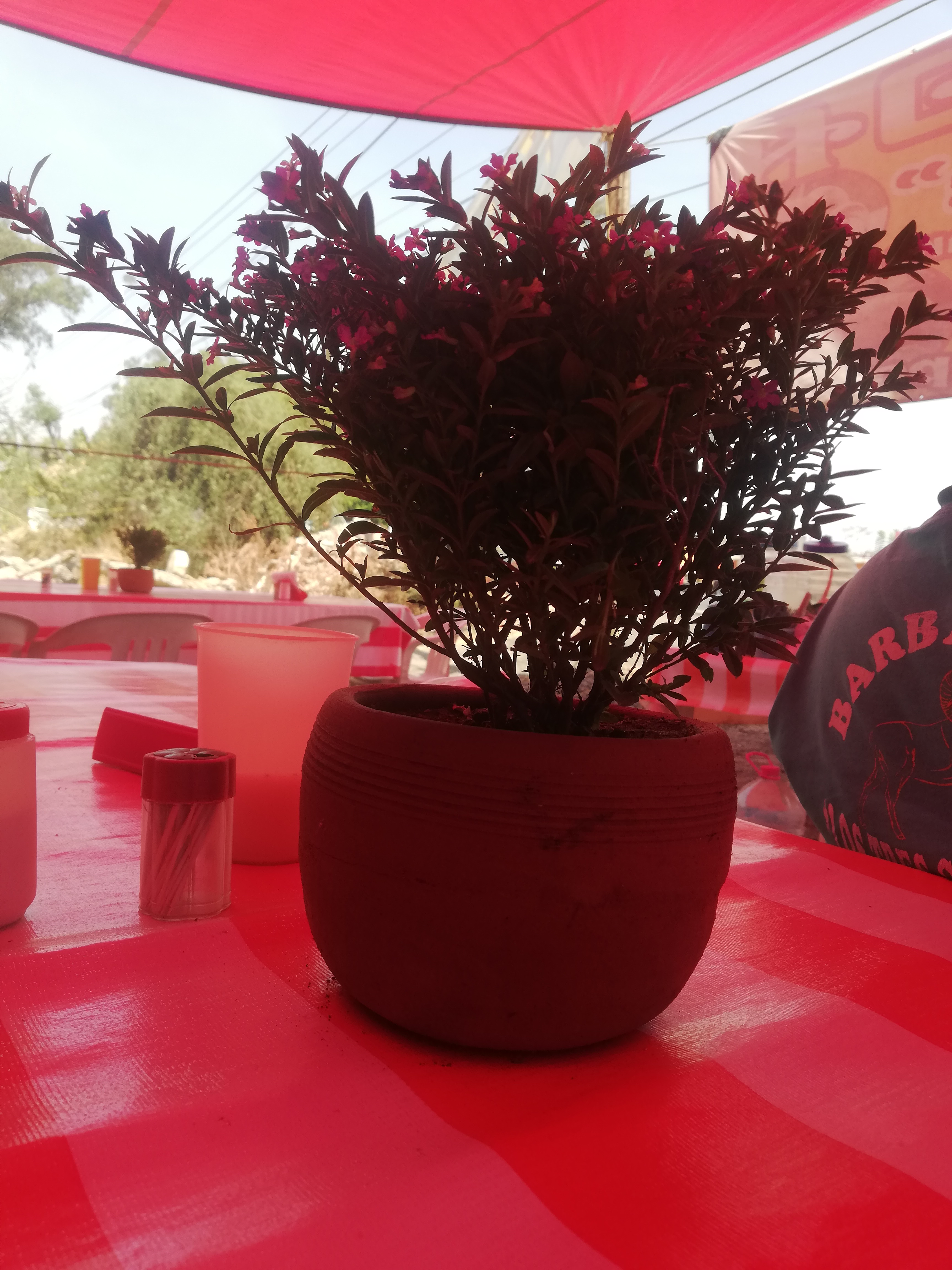 Barbacoa Los Tres Chavitos image 2