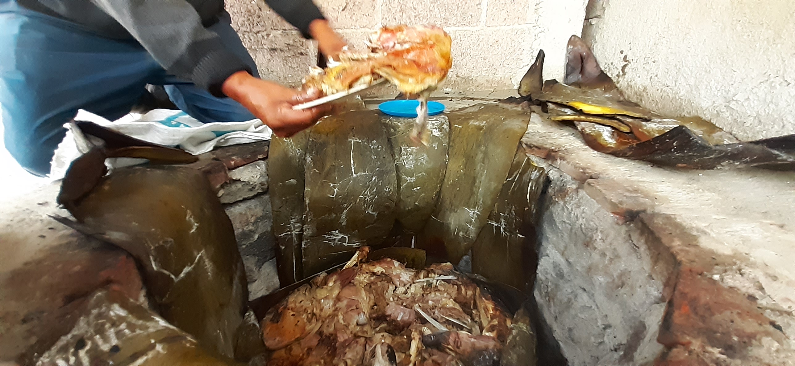 Forrajes y borregos "Los Focos" image 2