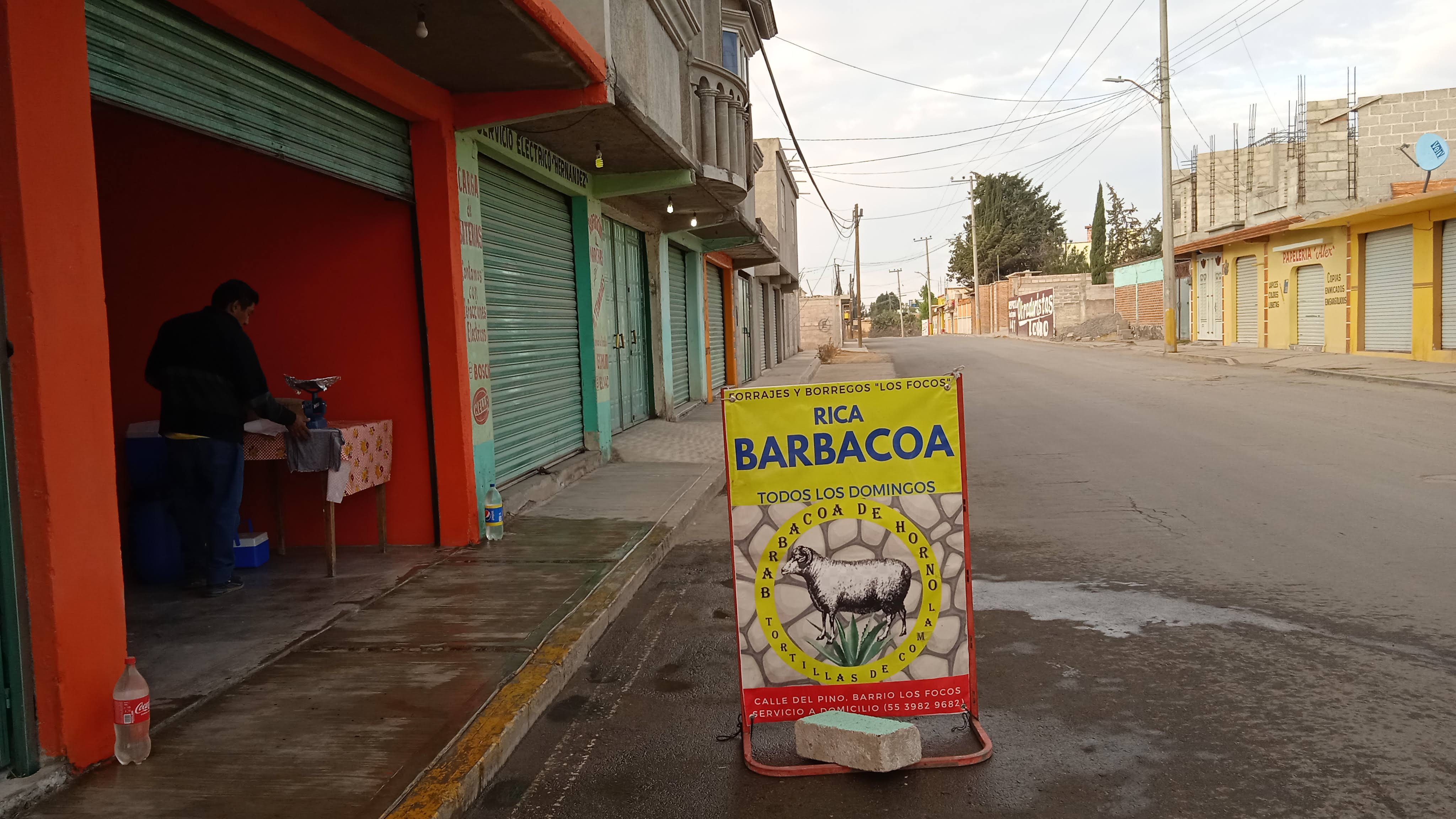 Forrajes y borregos "Los Focos" image 3